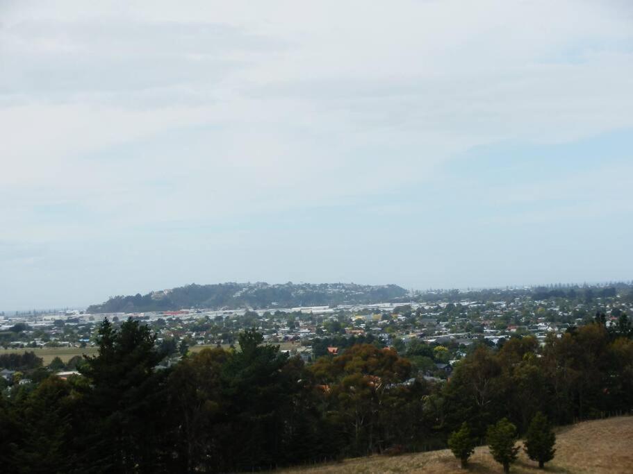 Napier Vacations - The Rise - Property Image 4