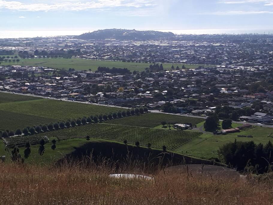 Napier Vacations - The Rise - Property Image 2
