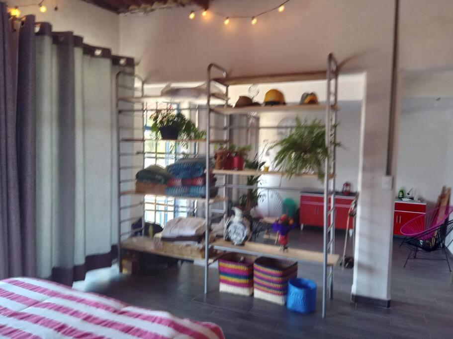 Casa Turquesa, photo 13