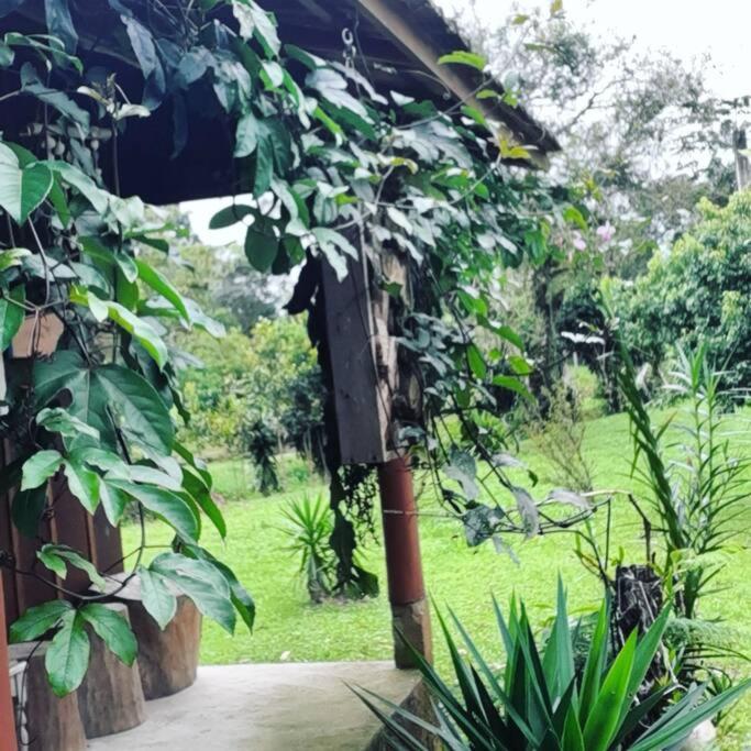 CABANA-DAGA