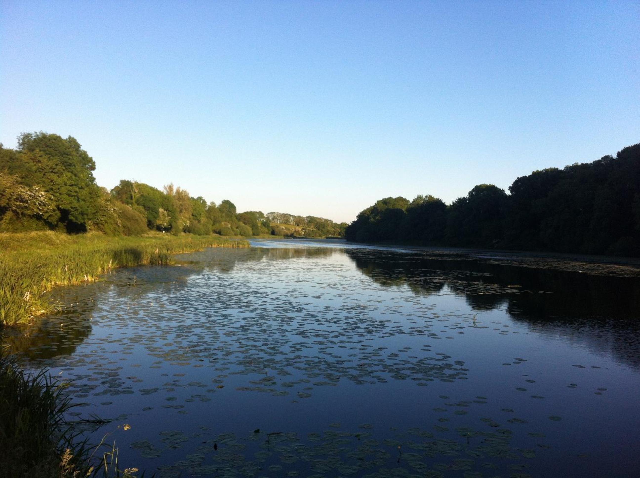 Photo 40
