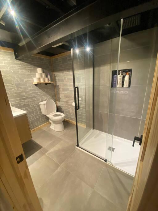 Enchanting and comfy urban cottage with renovated rustic den by Como Park  MN State Fair - Property Image 5