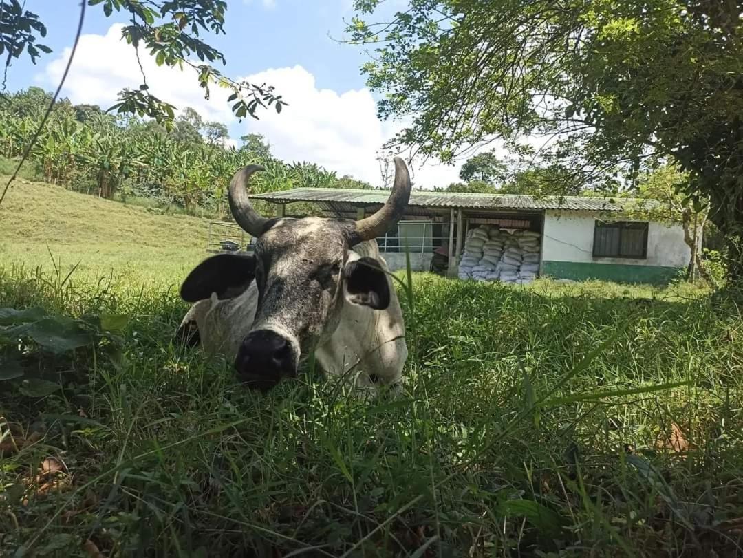 Ecoglamping VillaLaura