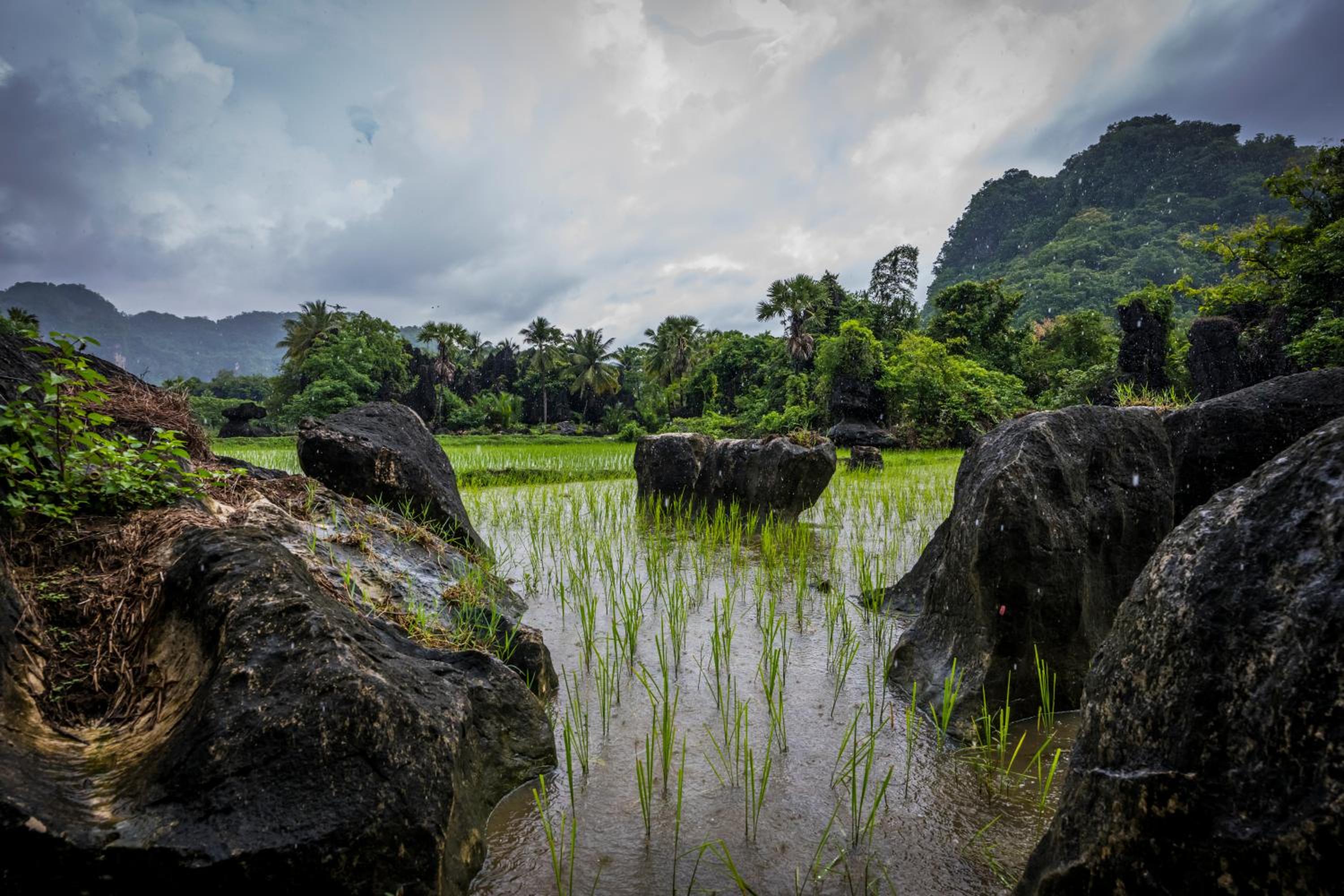 Kampoeng Karst Rammang Rammang