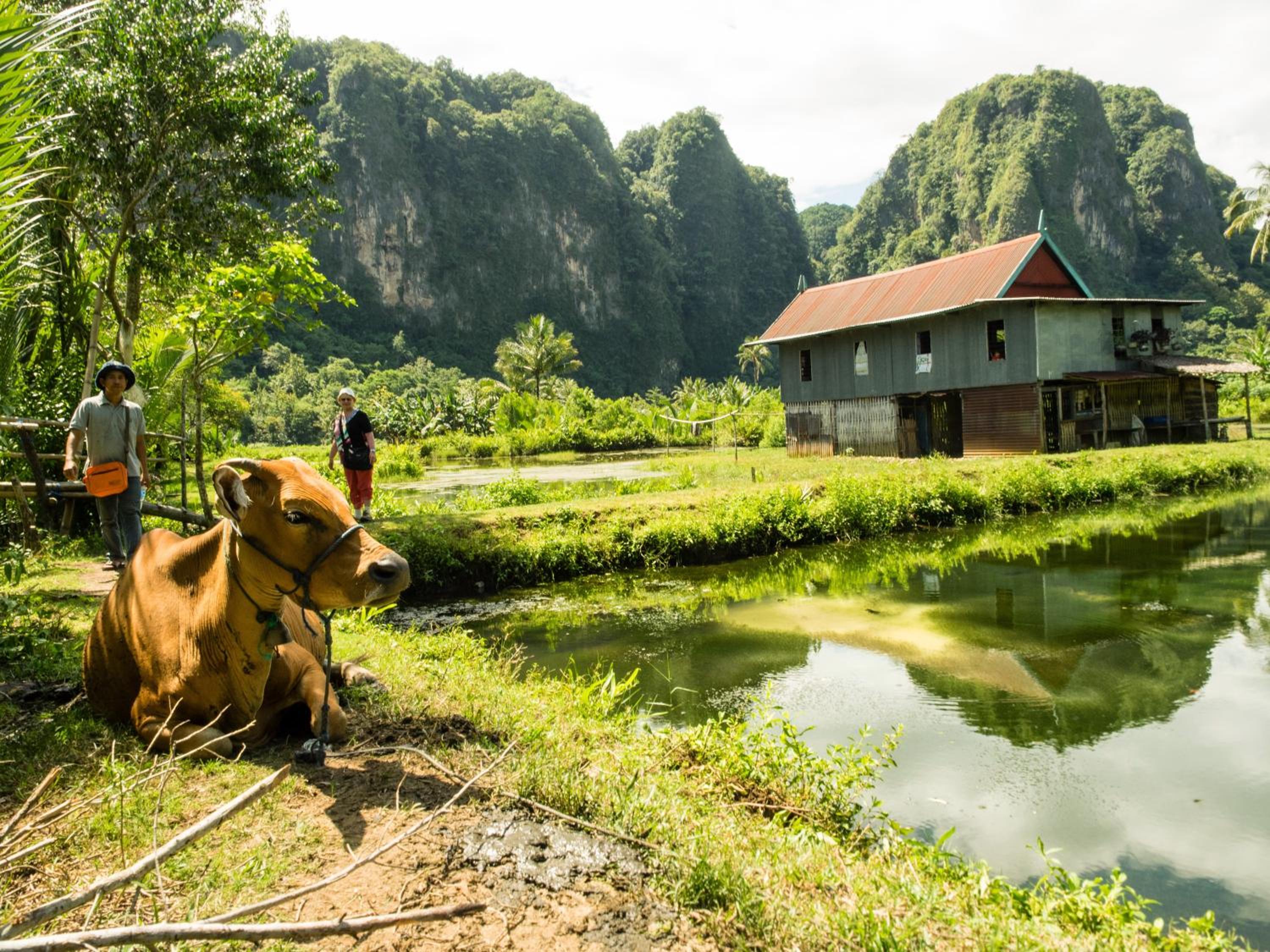 Kampoeng Karst Rammang Rammang