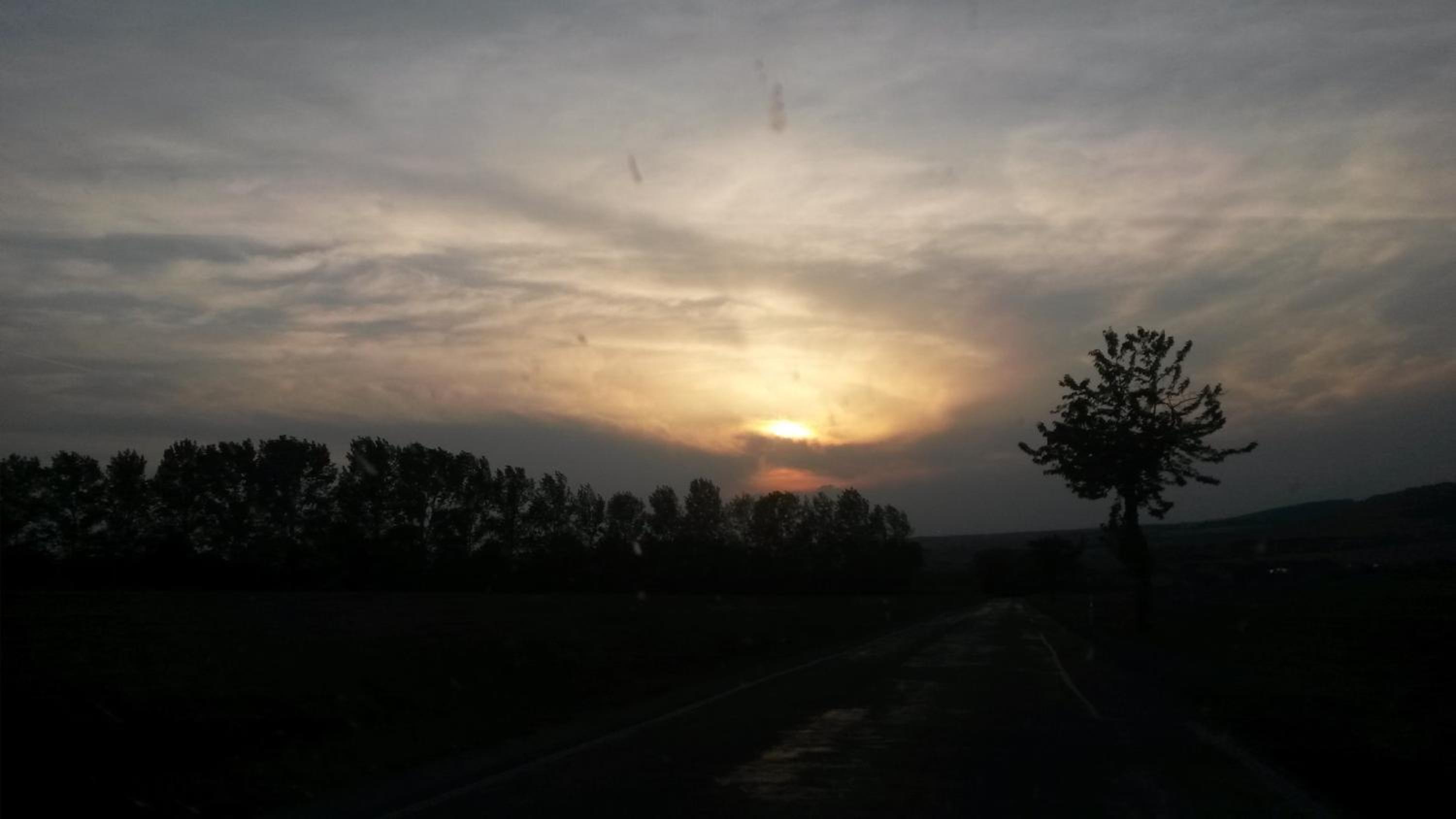 Photo 117