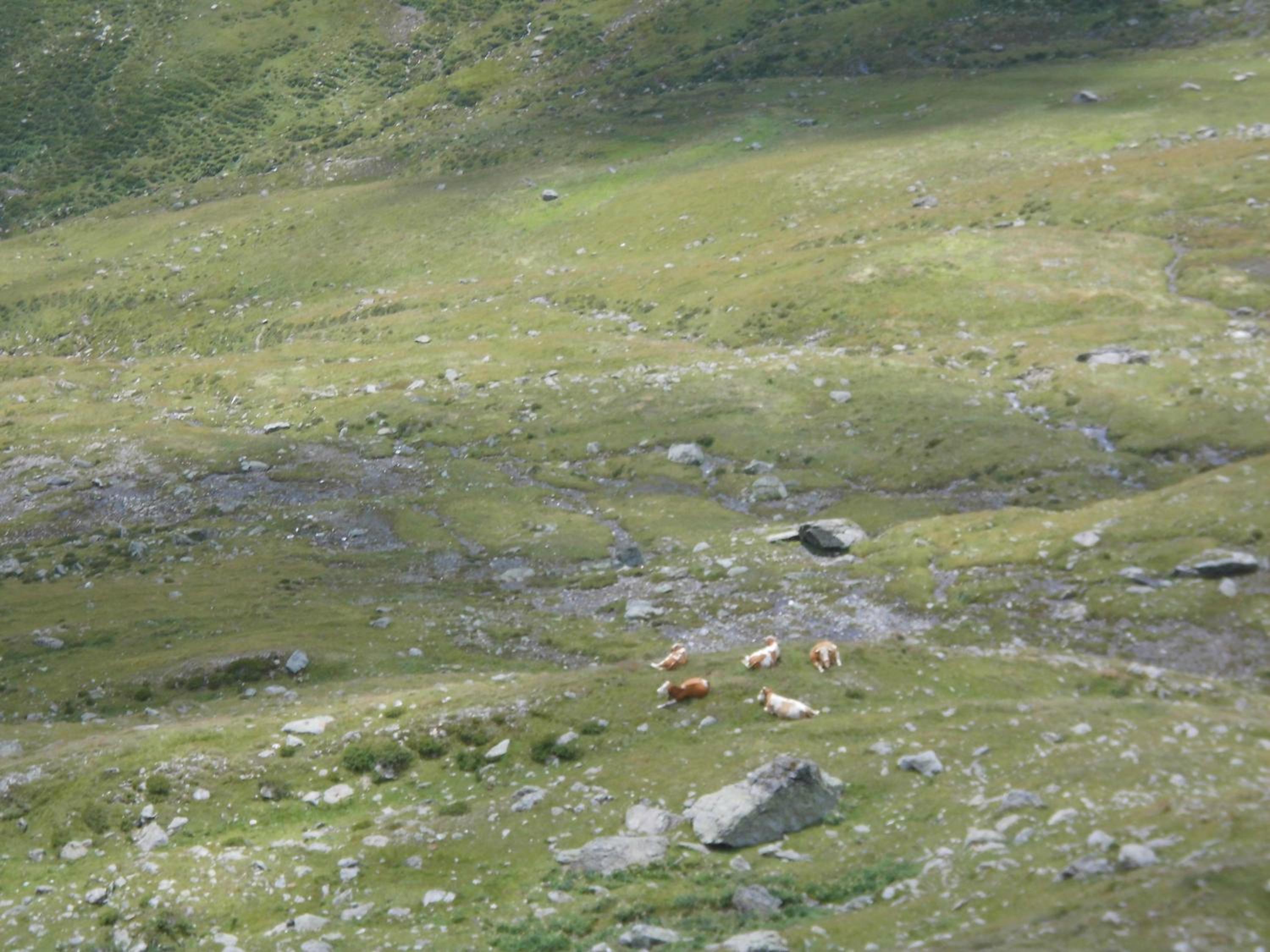 Photo 34