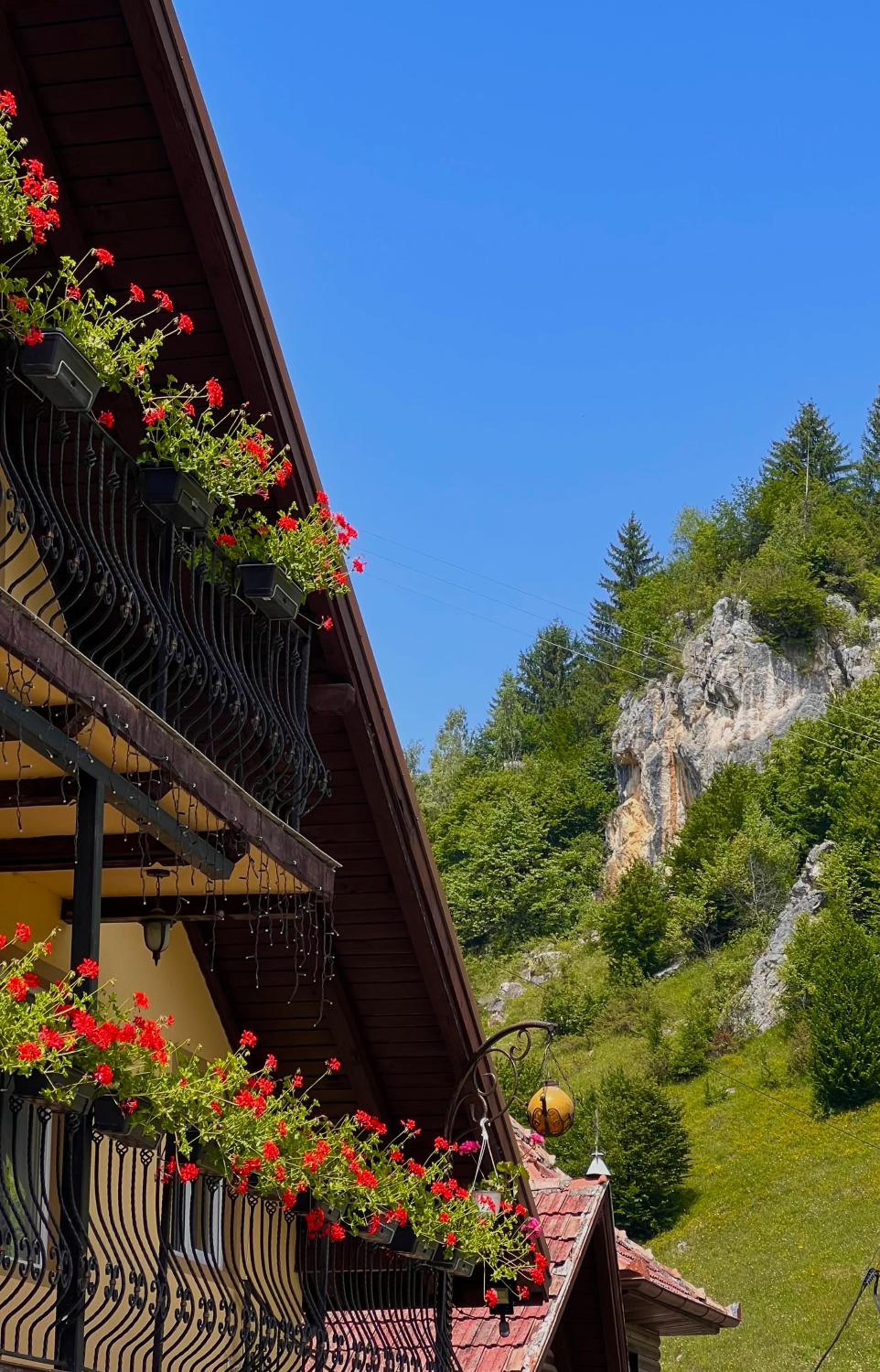Casa Coltea