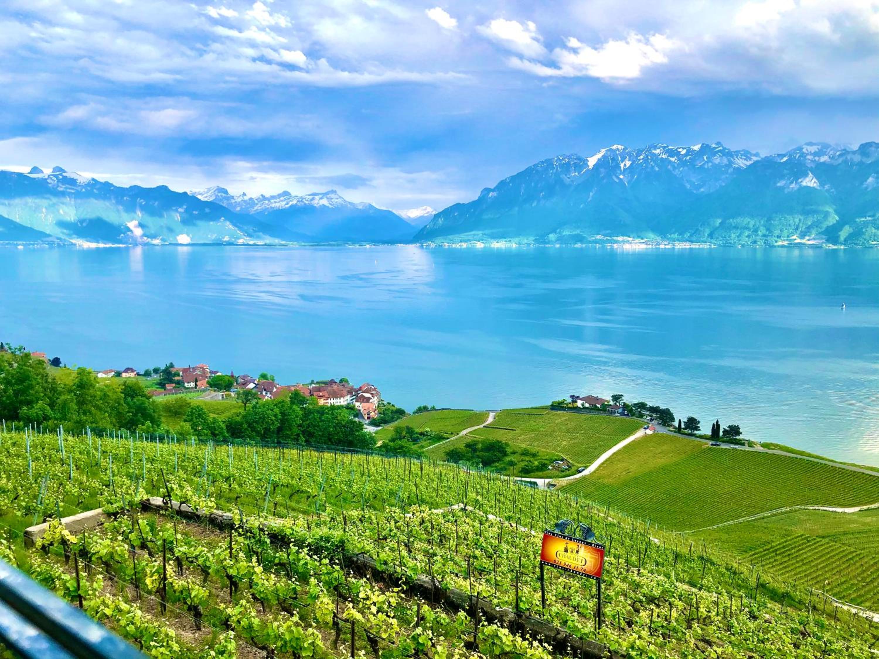 Spa luxury app for 2 or 4 pers centre lac view