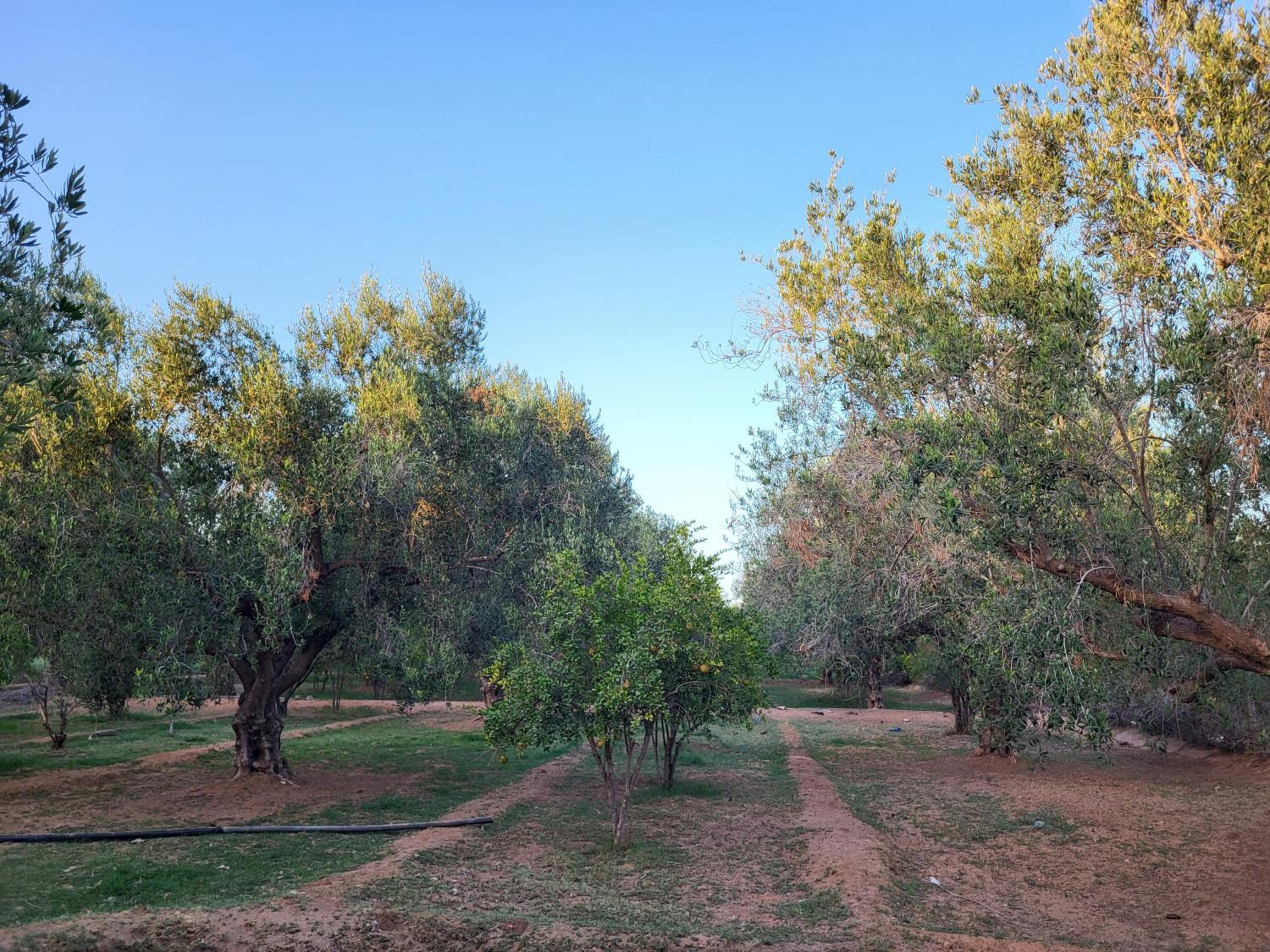 ZINA RESORT camping touristique