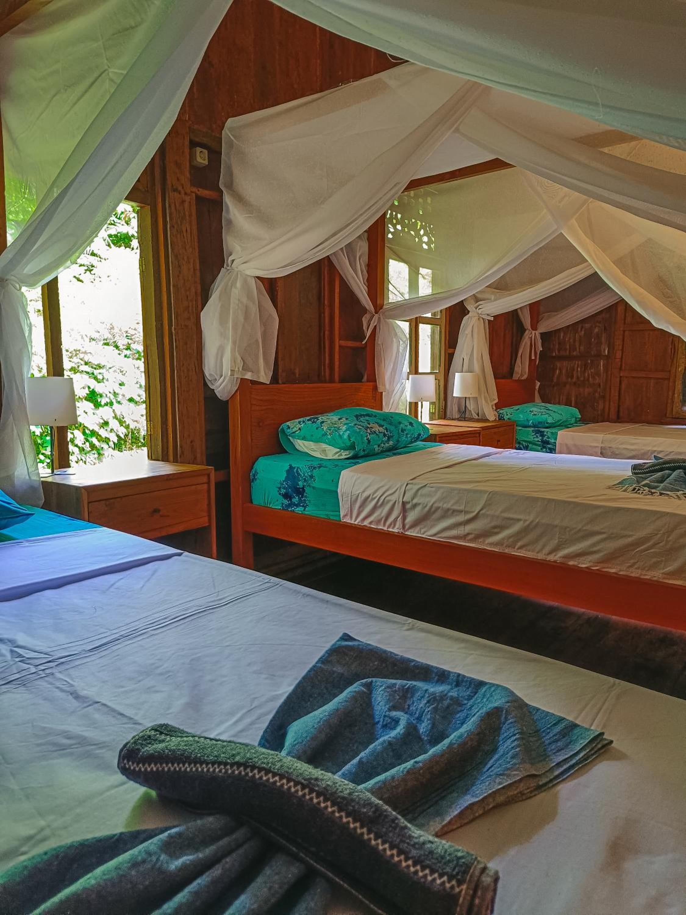 Alaya Ecolodge