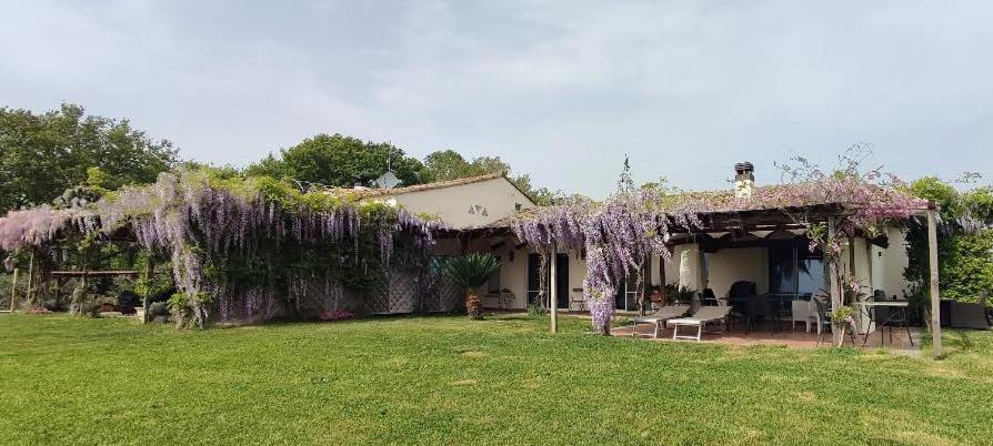 Villa Fonte Tartaruga Trevignano Romano