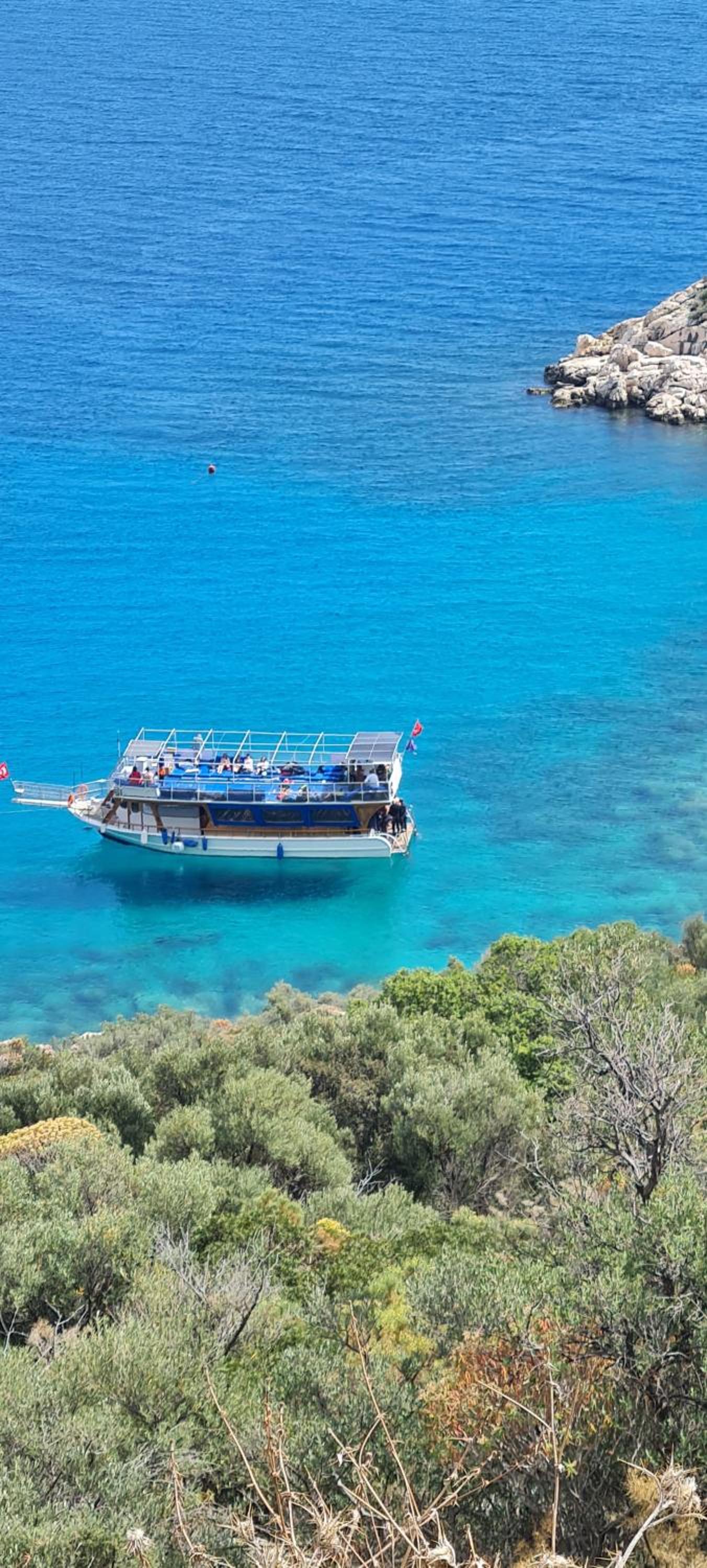 Sea Garden - Image 91