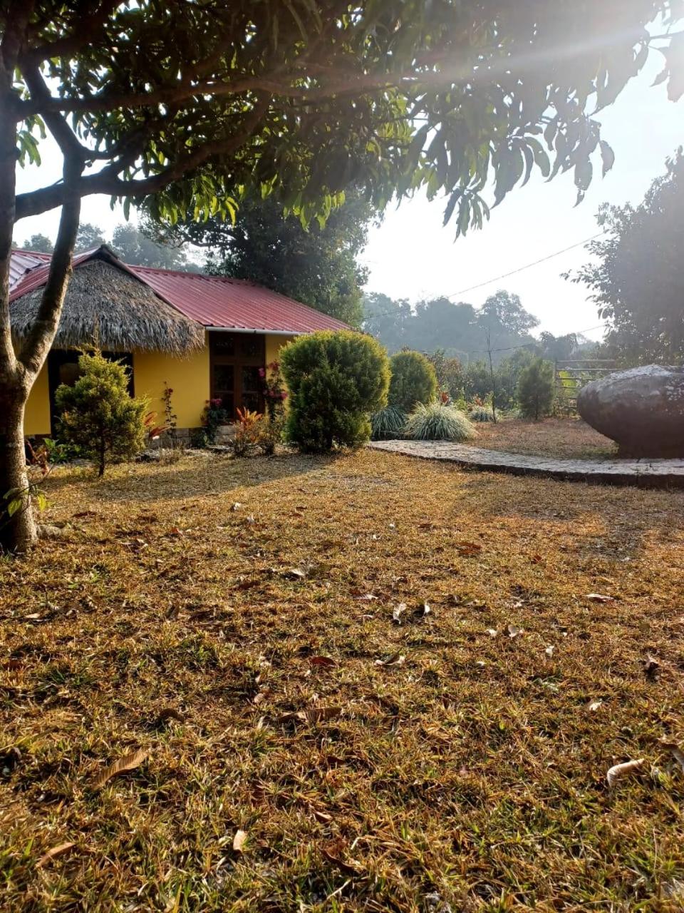 Photo 10