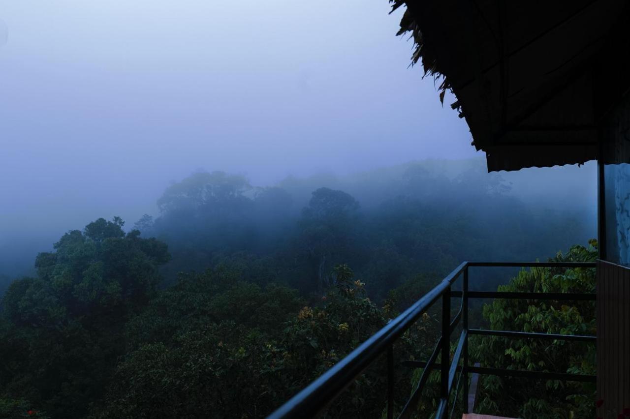 Exotica Holidays