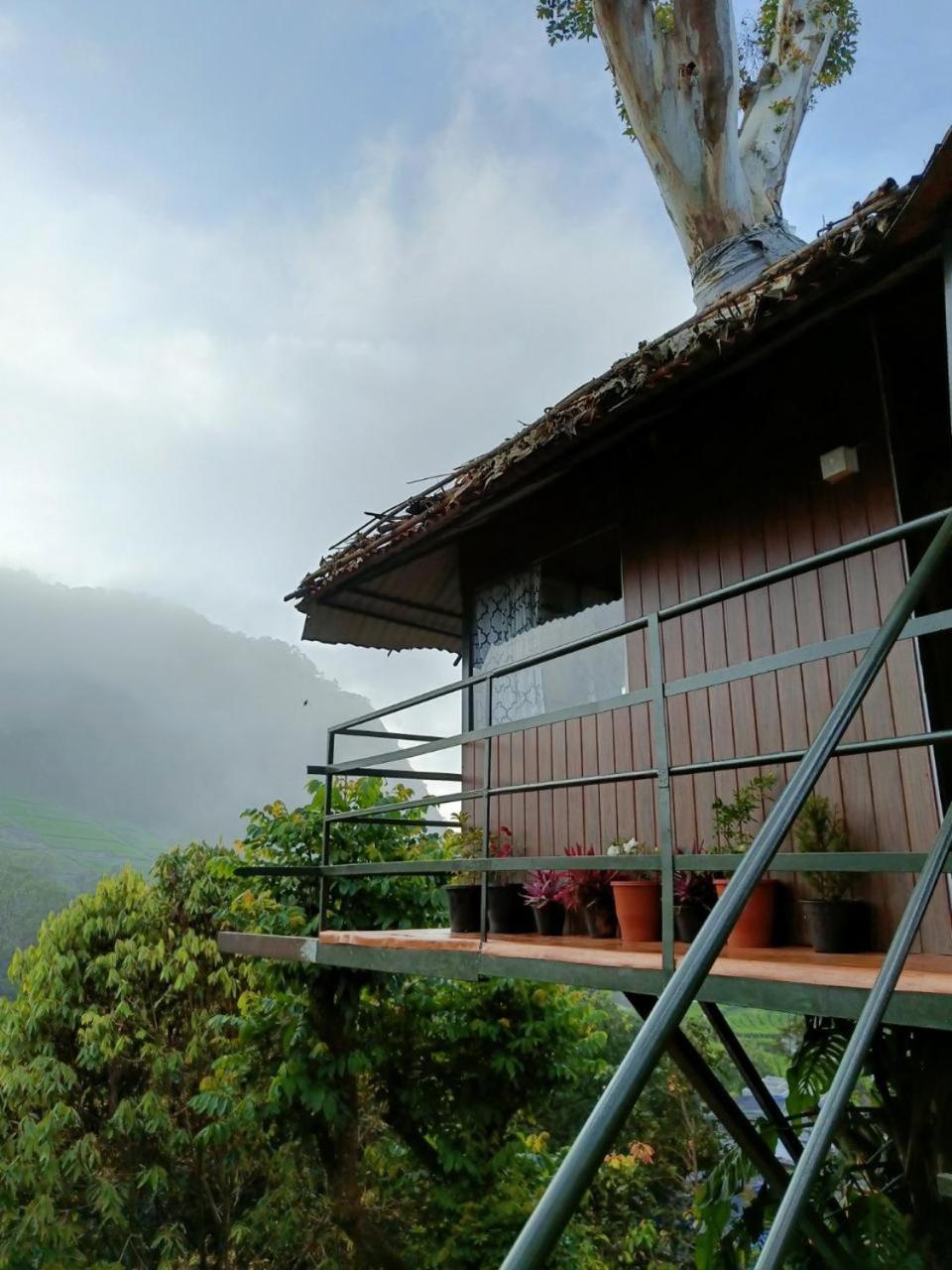 Exotica Holidays