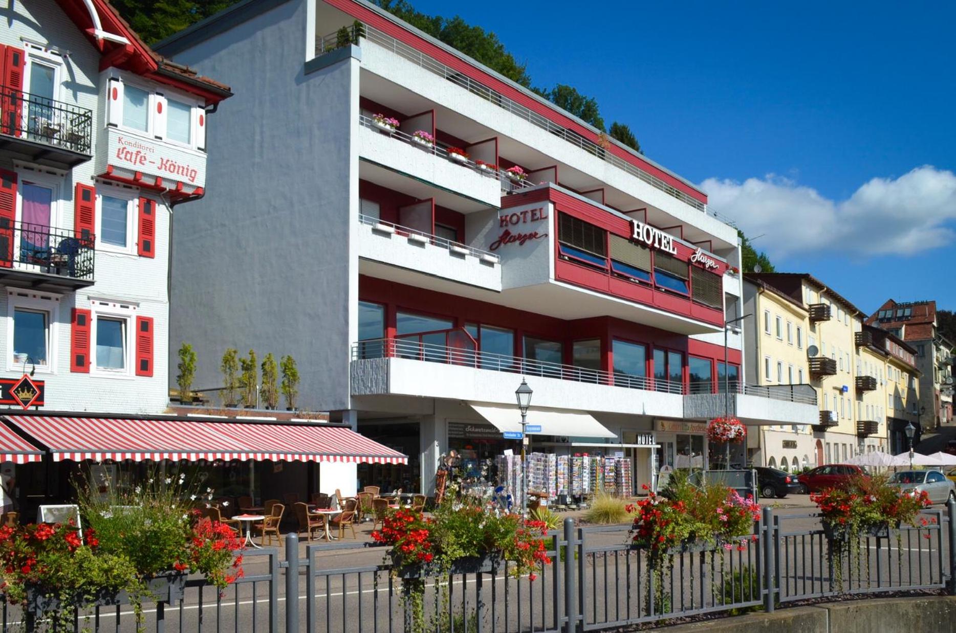Hotel Harzer am Kurpark - Image 1