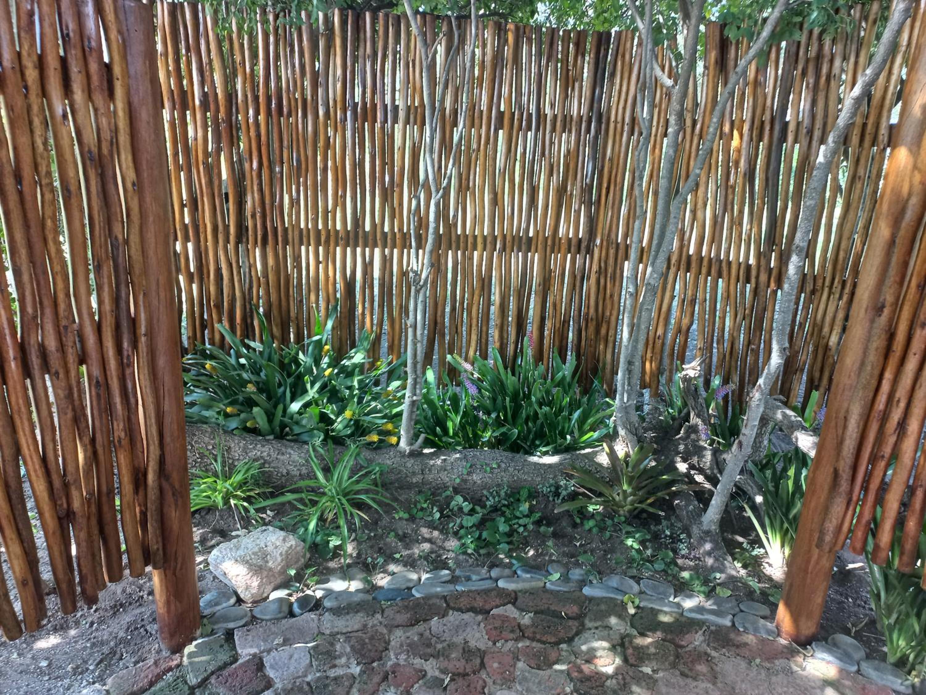 Photo 25
