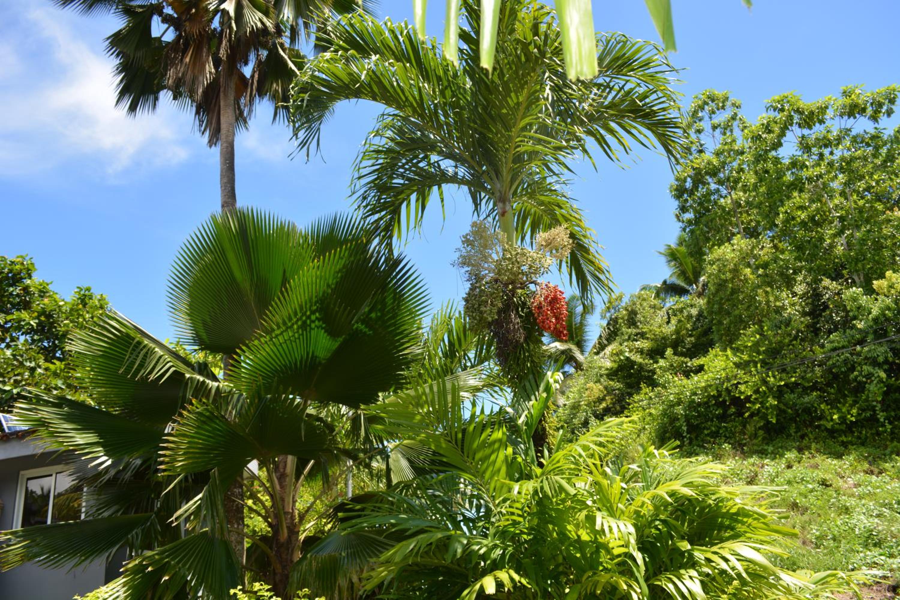 Bayview Villa -Sea Side Villa photo 4