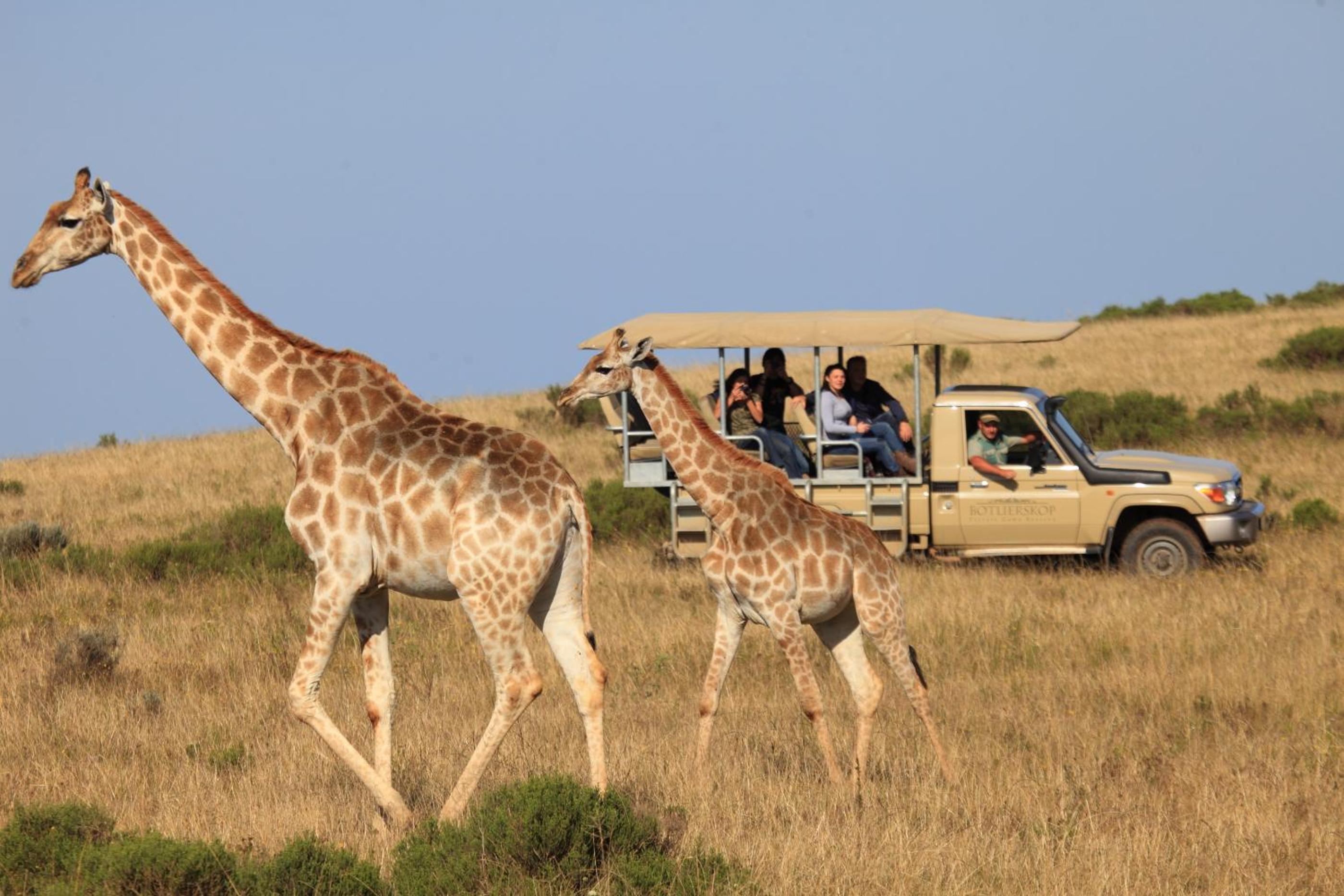 Botlierskop Bush Villas