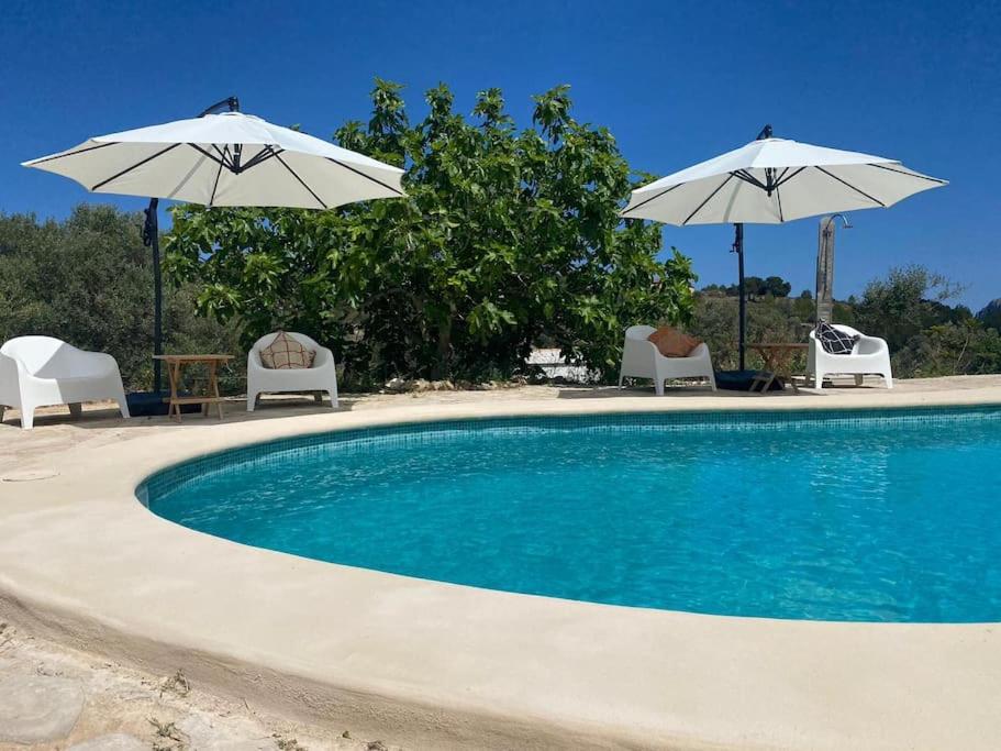 Finca Jabali photo 5