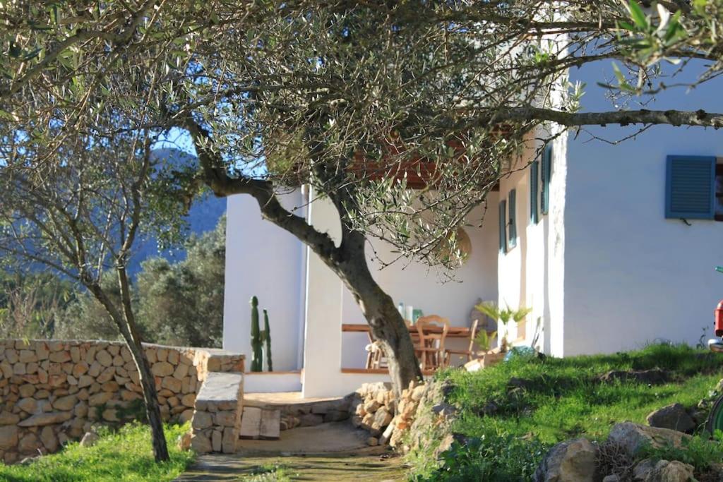 Finca Jabali