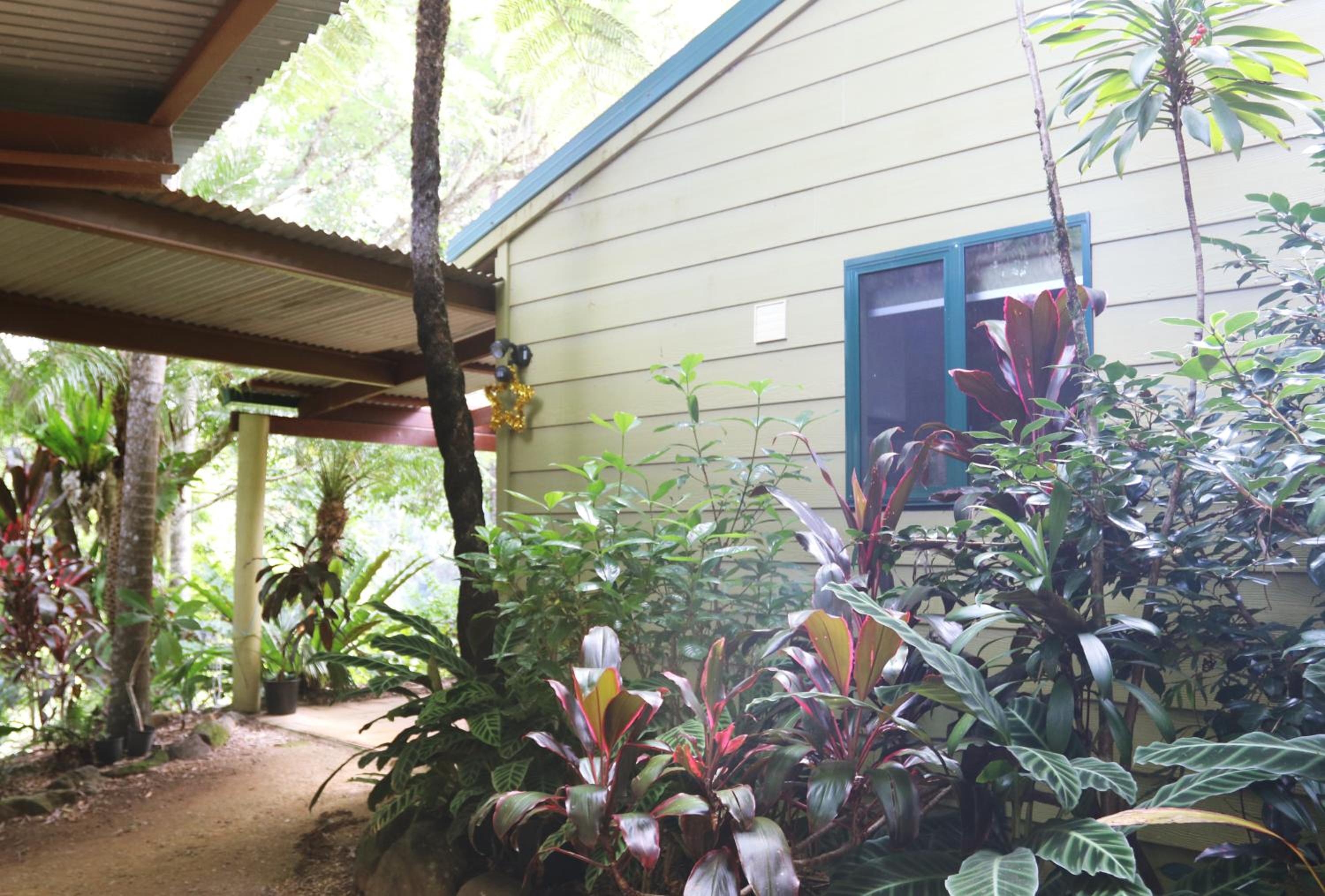 Rainforest Cabin in Doon Doon NSW