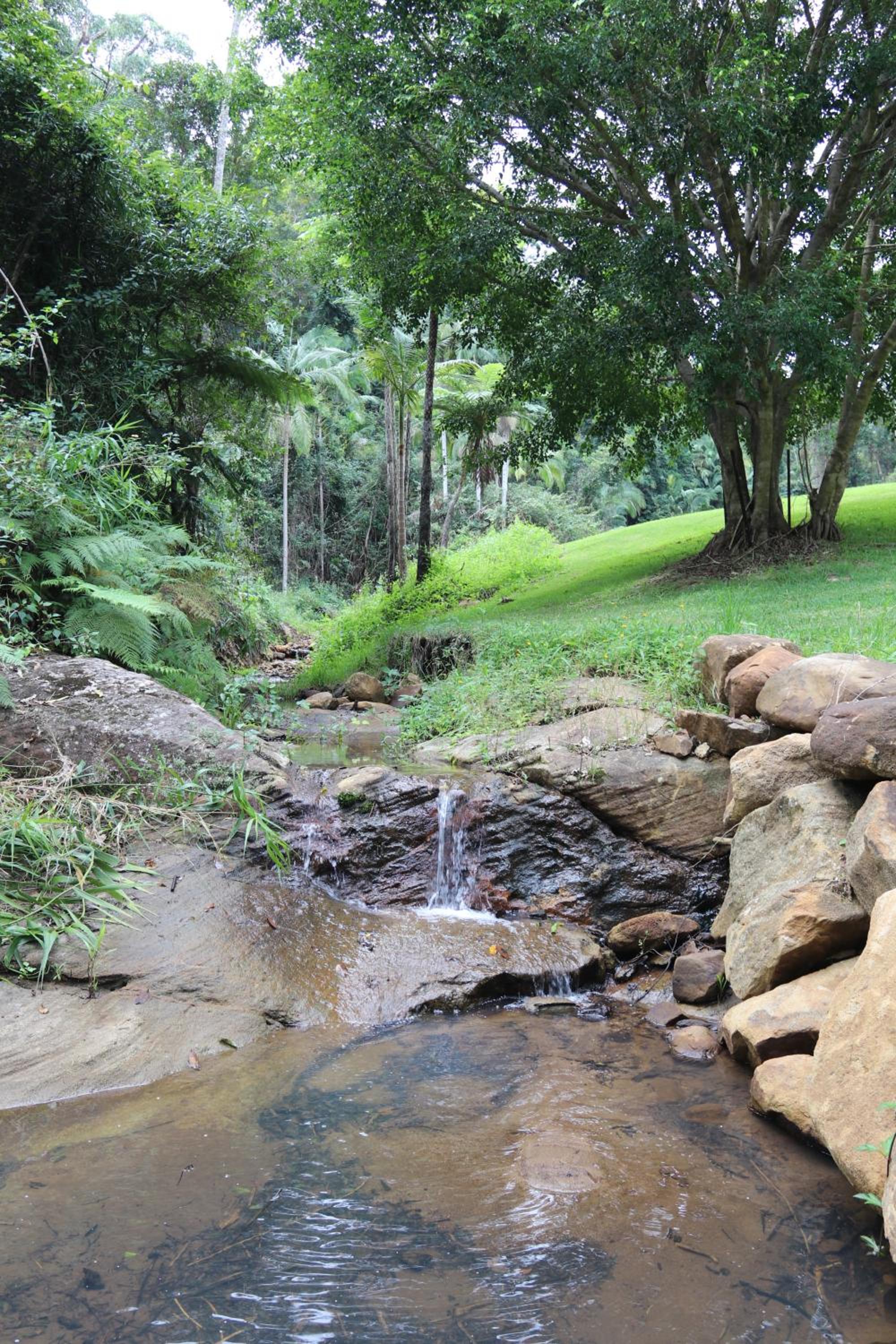 Rainforest Cabin in Doon Doon NSW