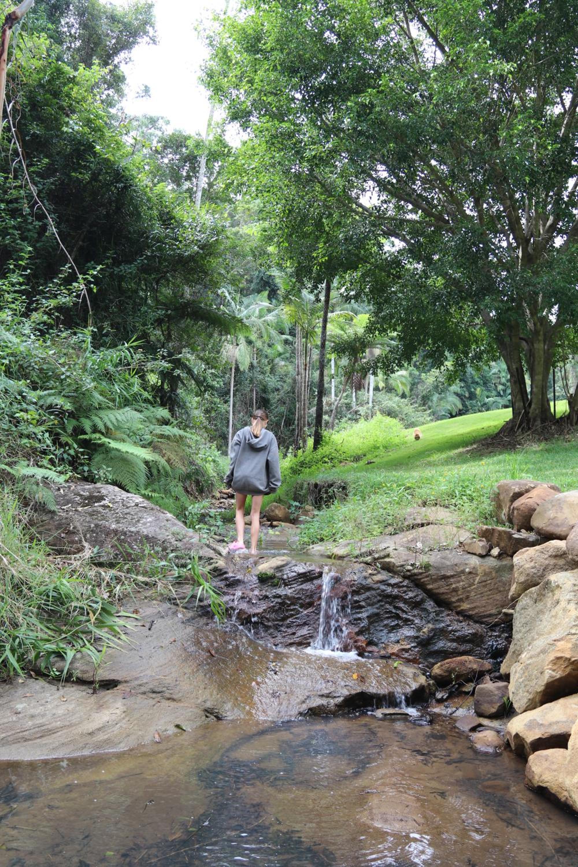 Rainforest Cabin in Doon Doon NSW