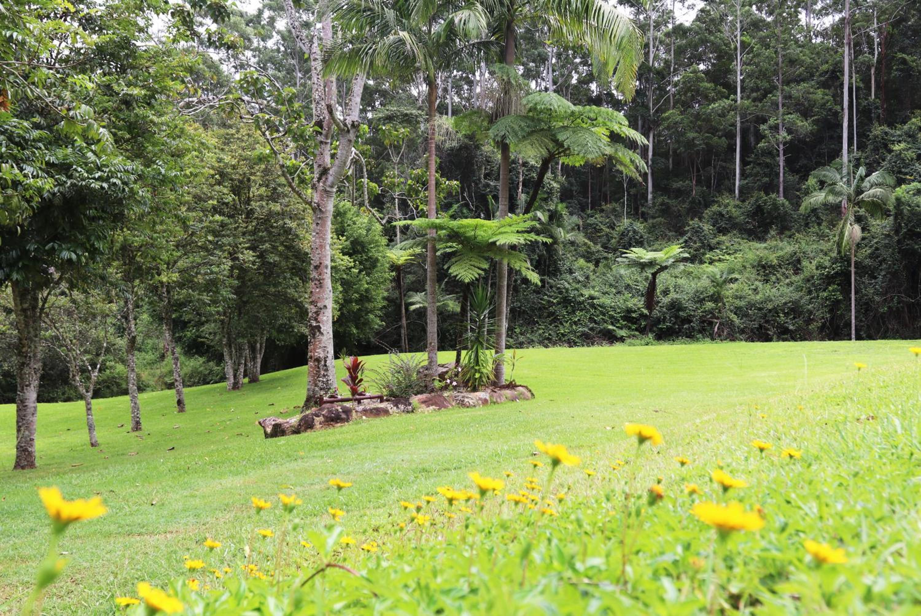 Rainforest Cabin in Doon Doon NSW