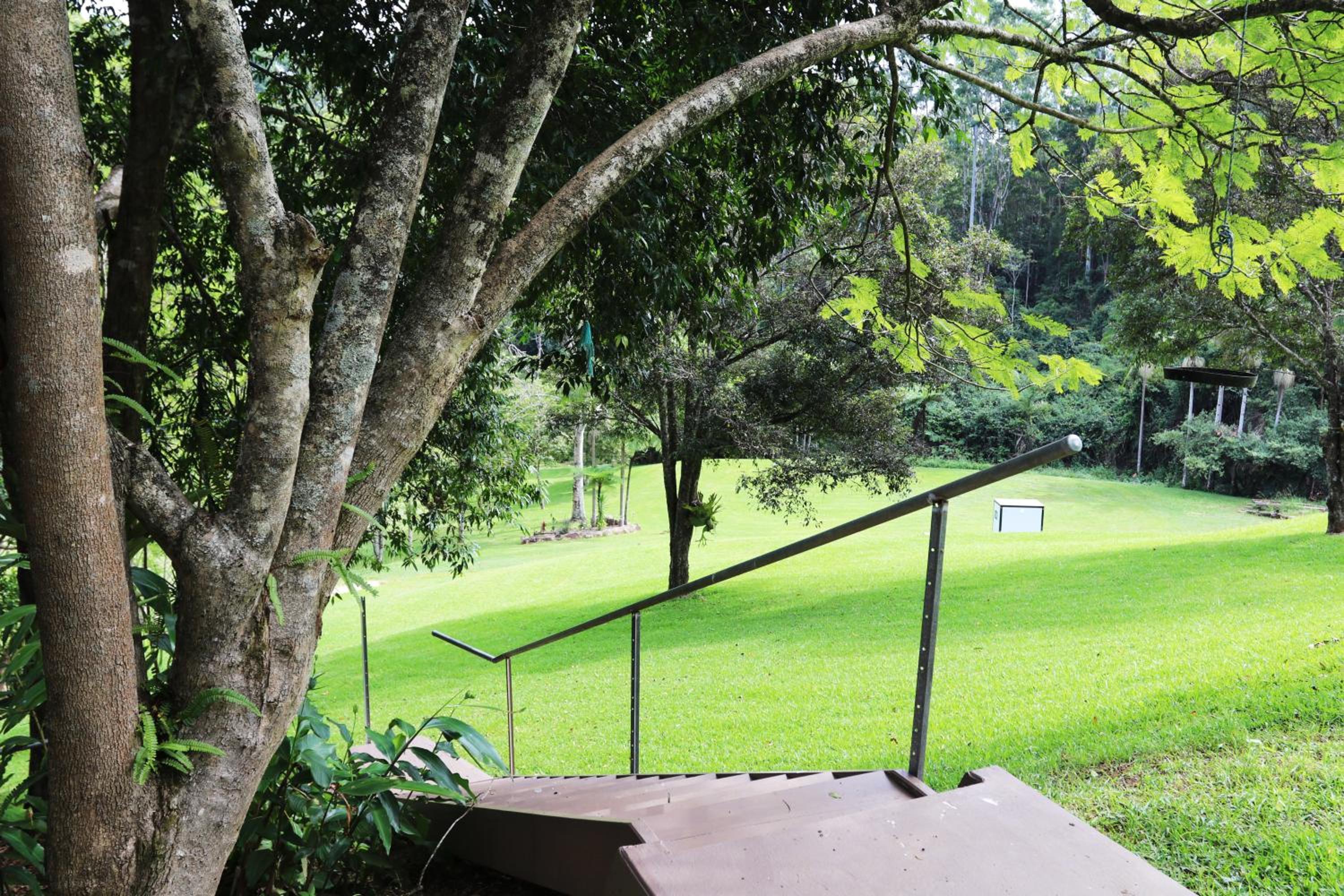 Rainforest Cabin in Doon Doon NSW