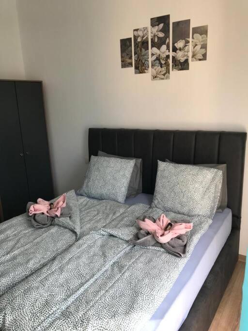 Daisy apartment