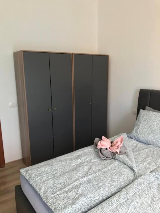 Daisy apartment