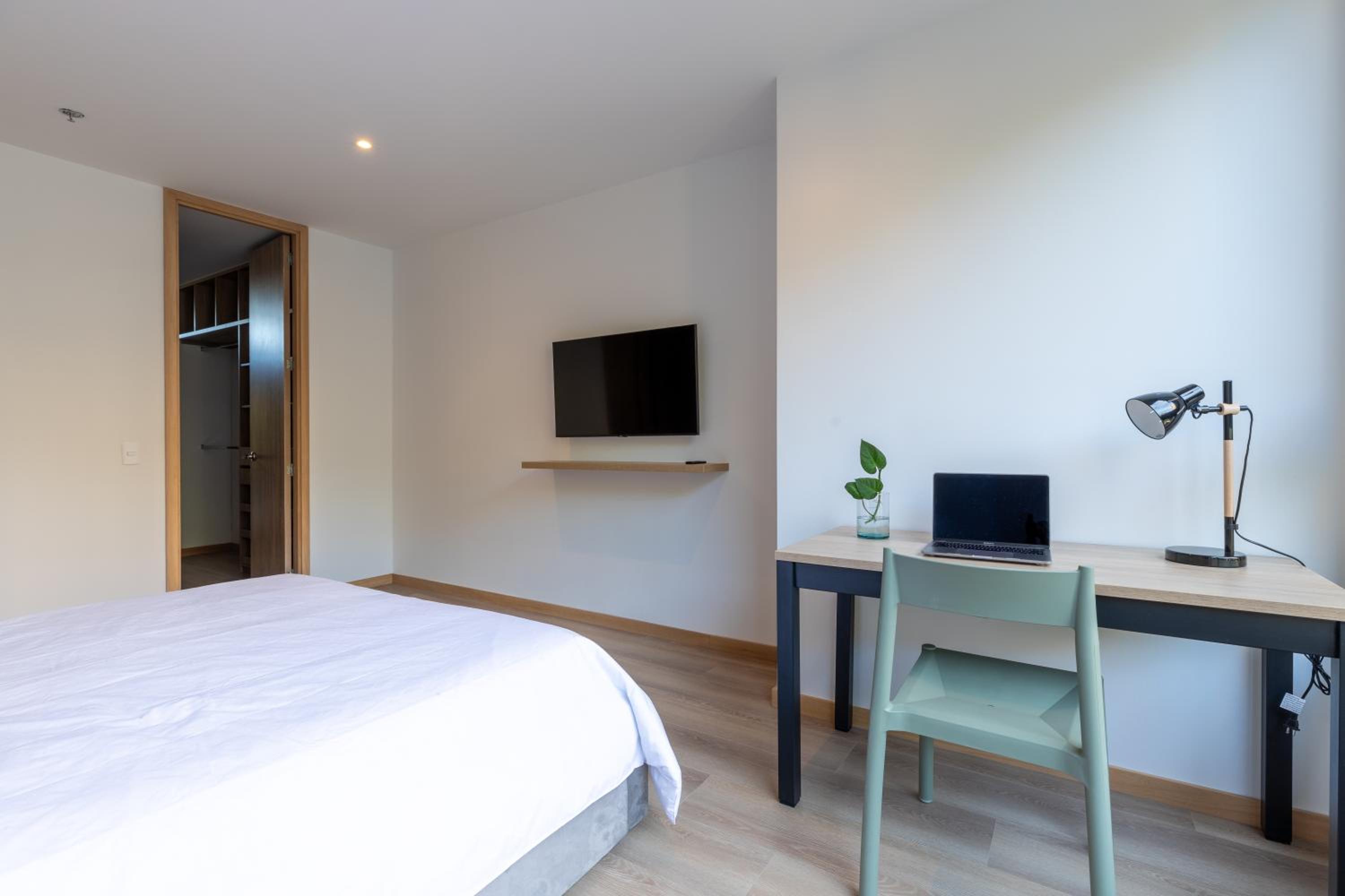 Luxury new apartment surrounded by forest