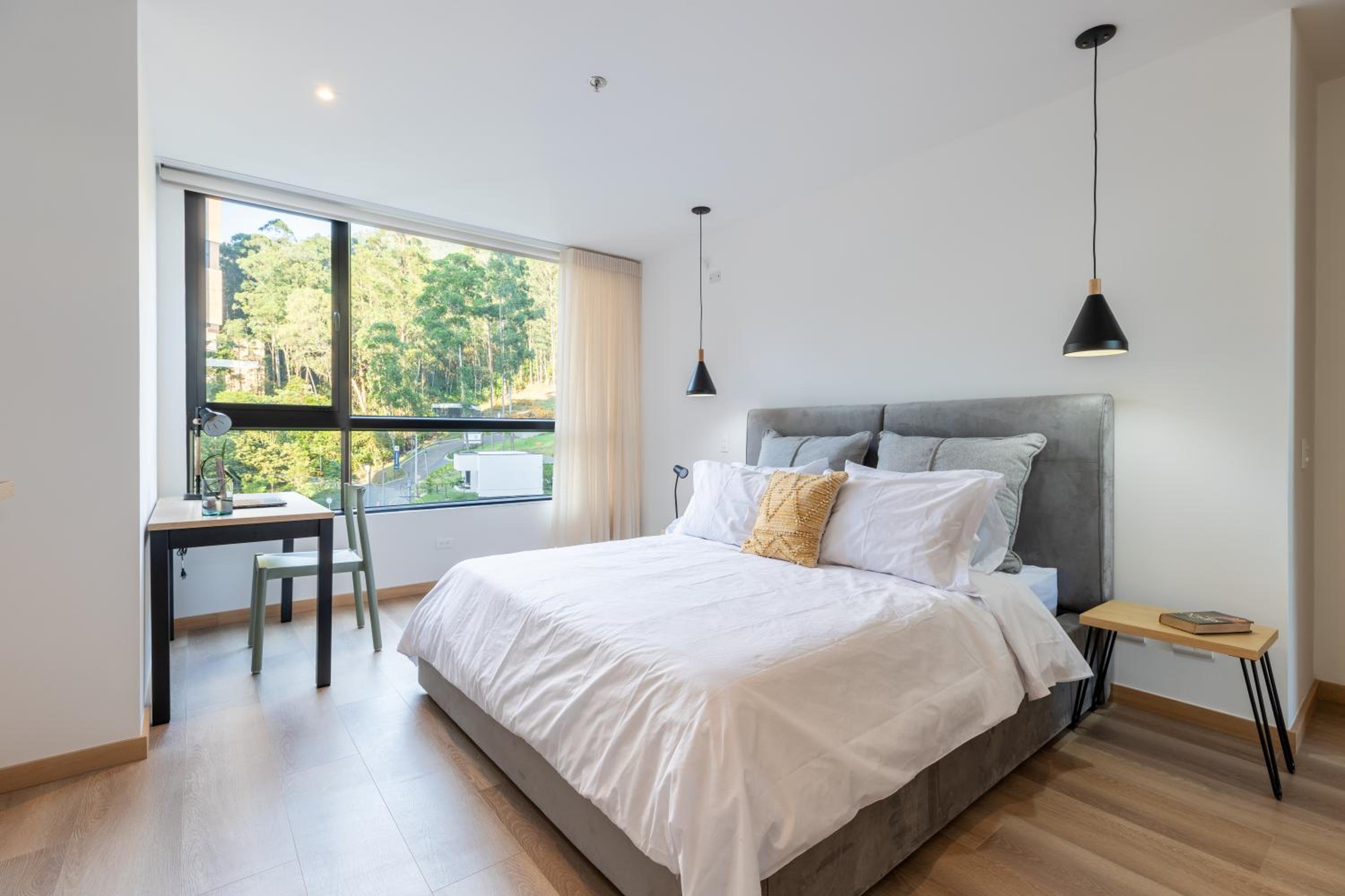 Luxury new apartment surrounded by forest