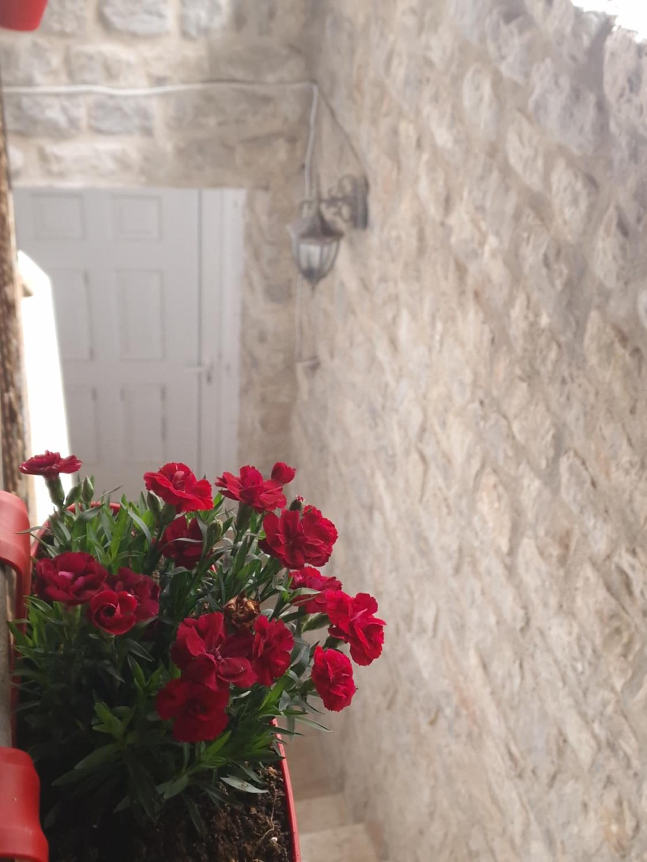Rooms Dana Old Town Budva