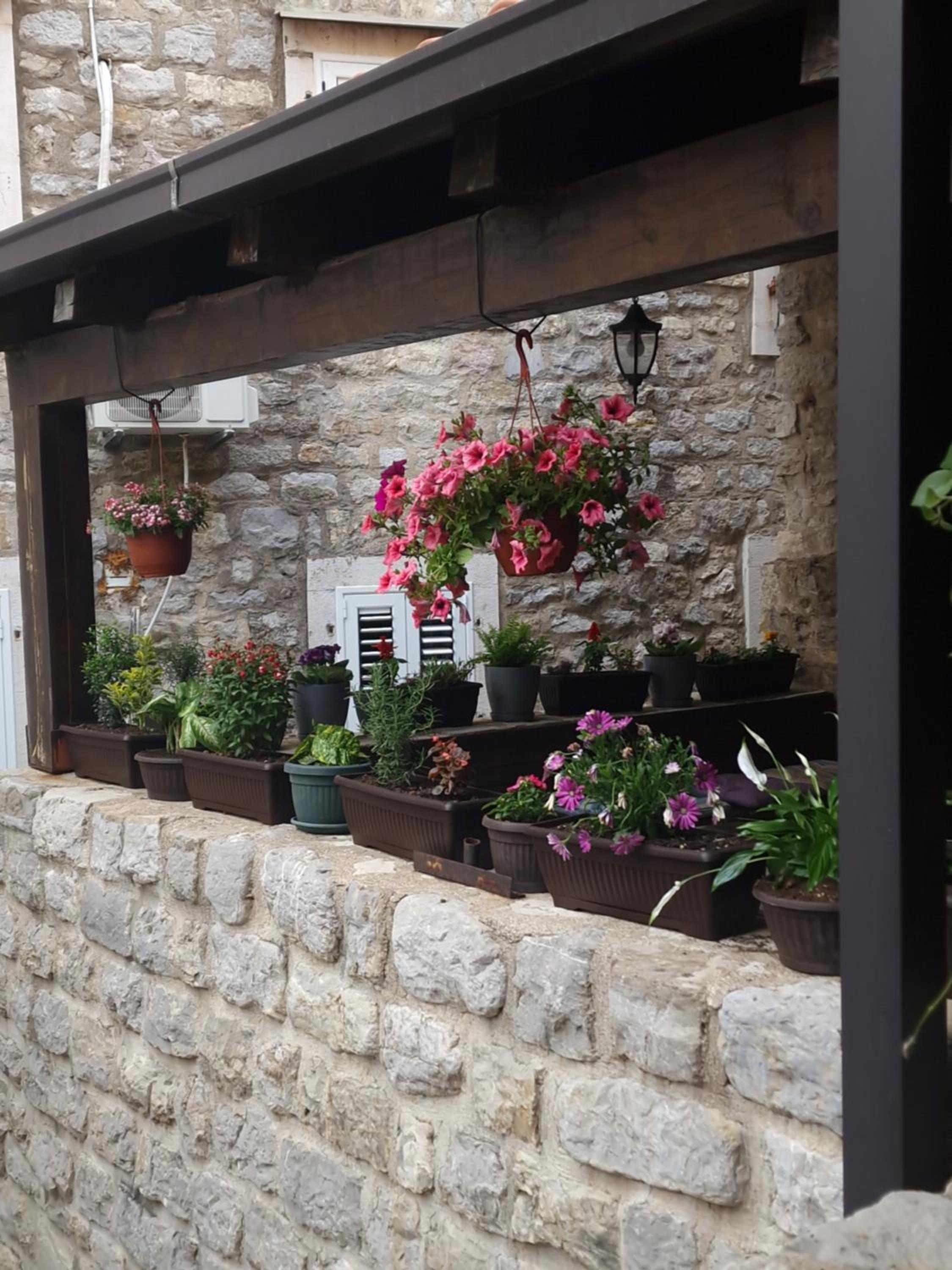 Rooms Dana Old Town Budva