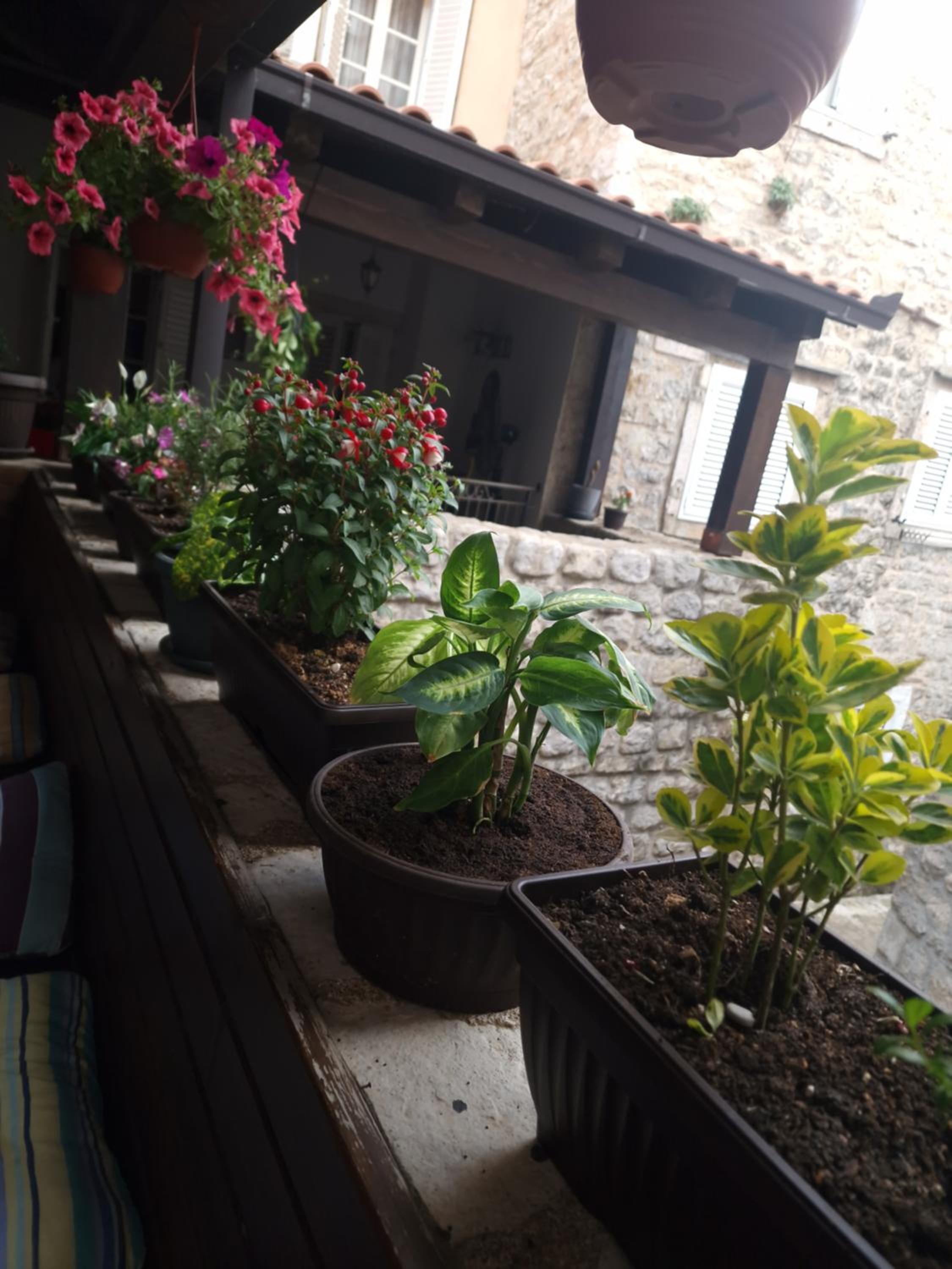 Rooms Dana Old Town Budva