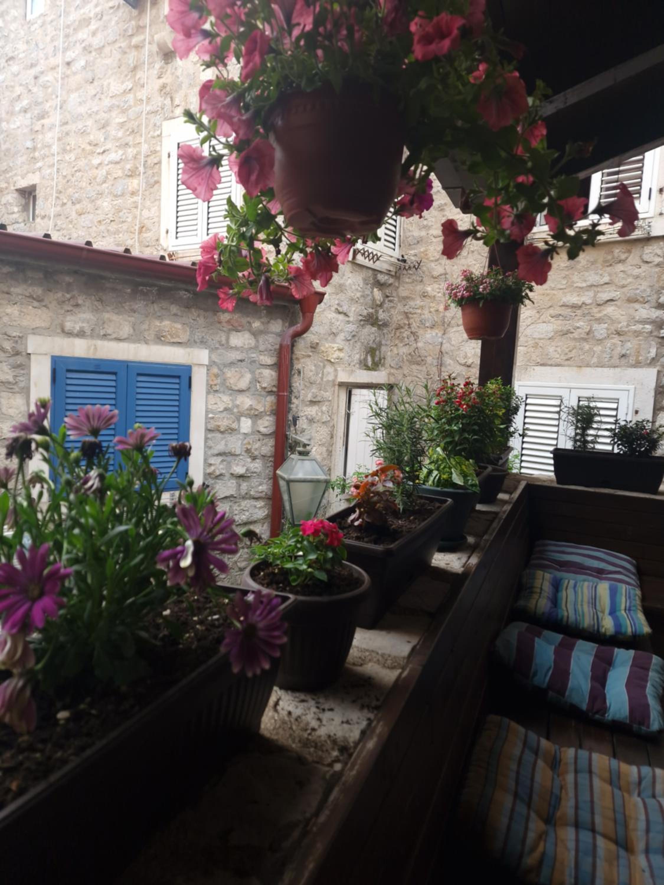 Rooms Dana Old Town Budva