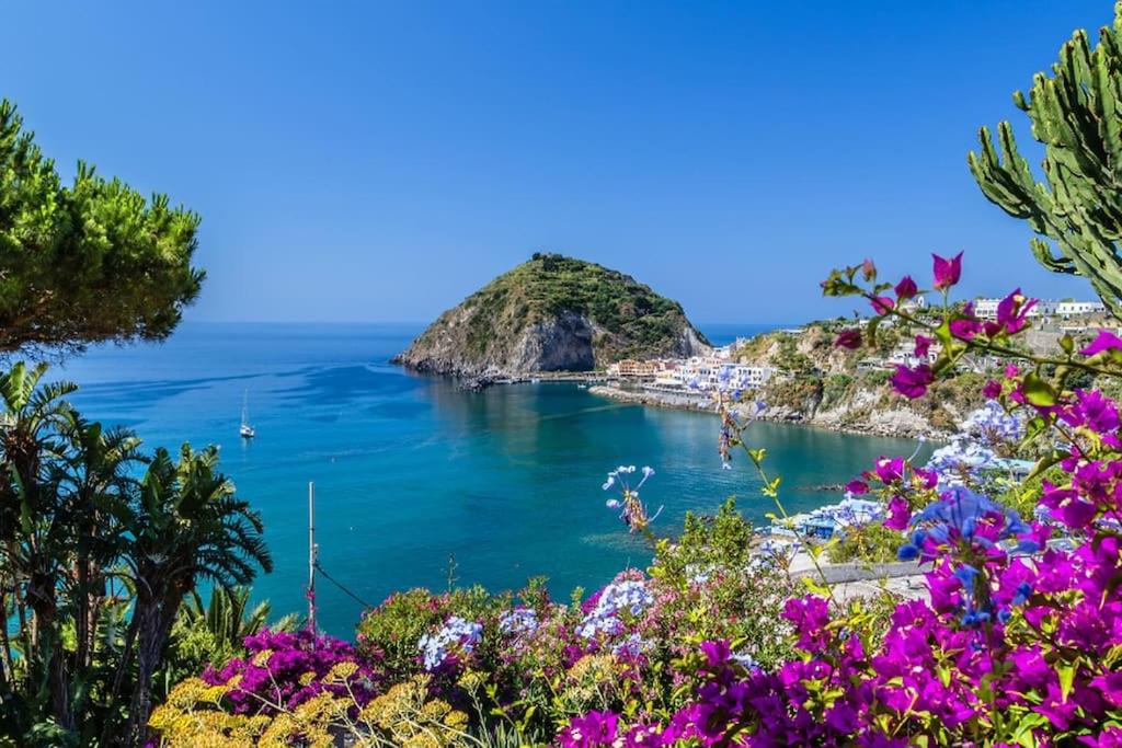 Il Vicoletto sul Mare view 4