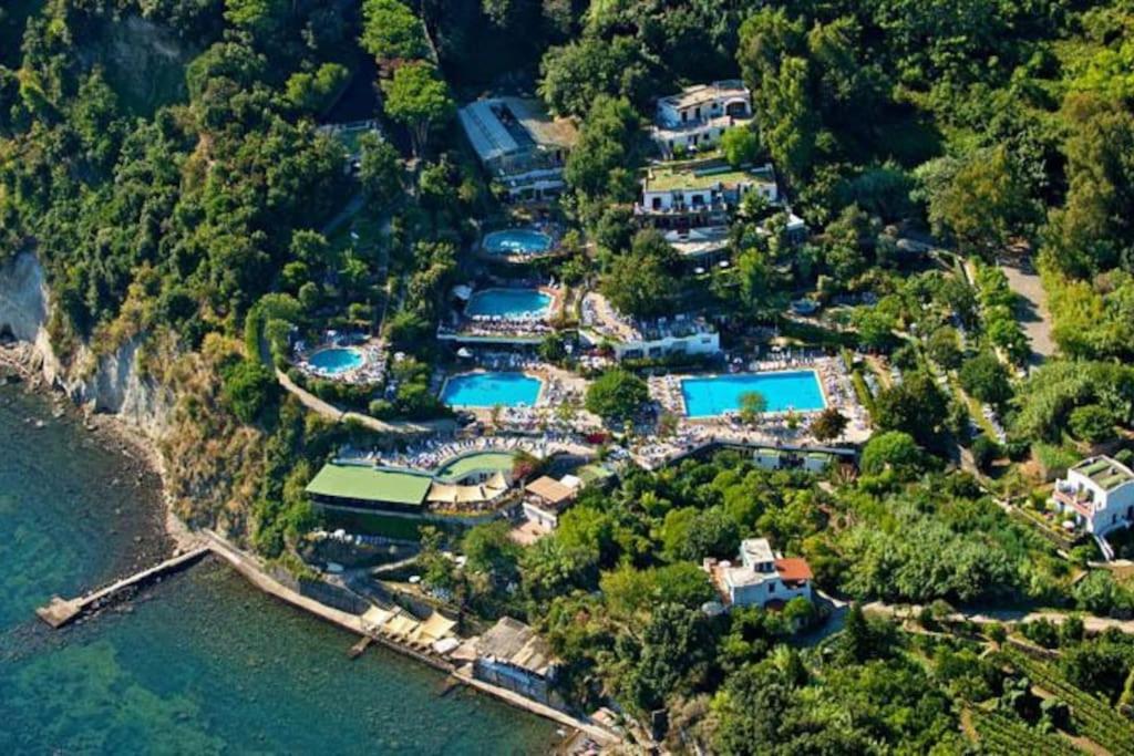 Il Vicoletto sul Mare view 3