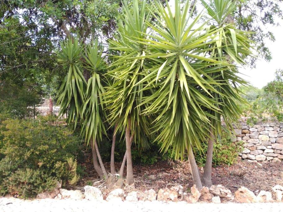 Photo 48