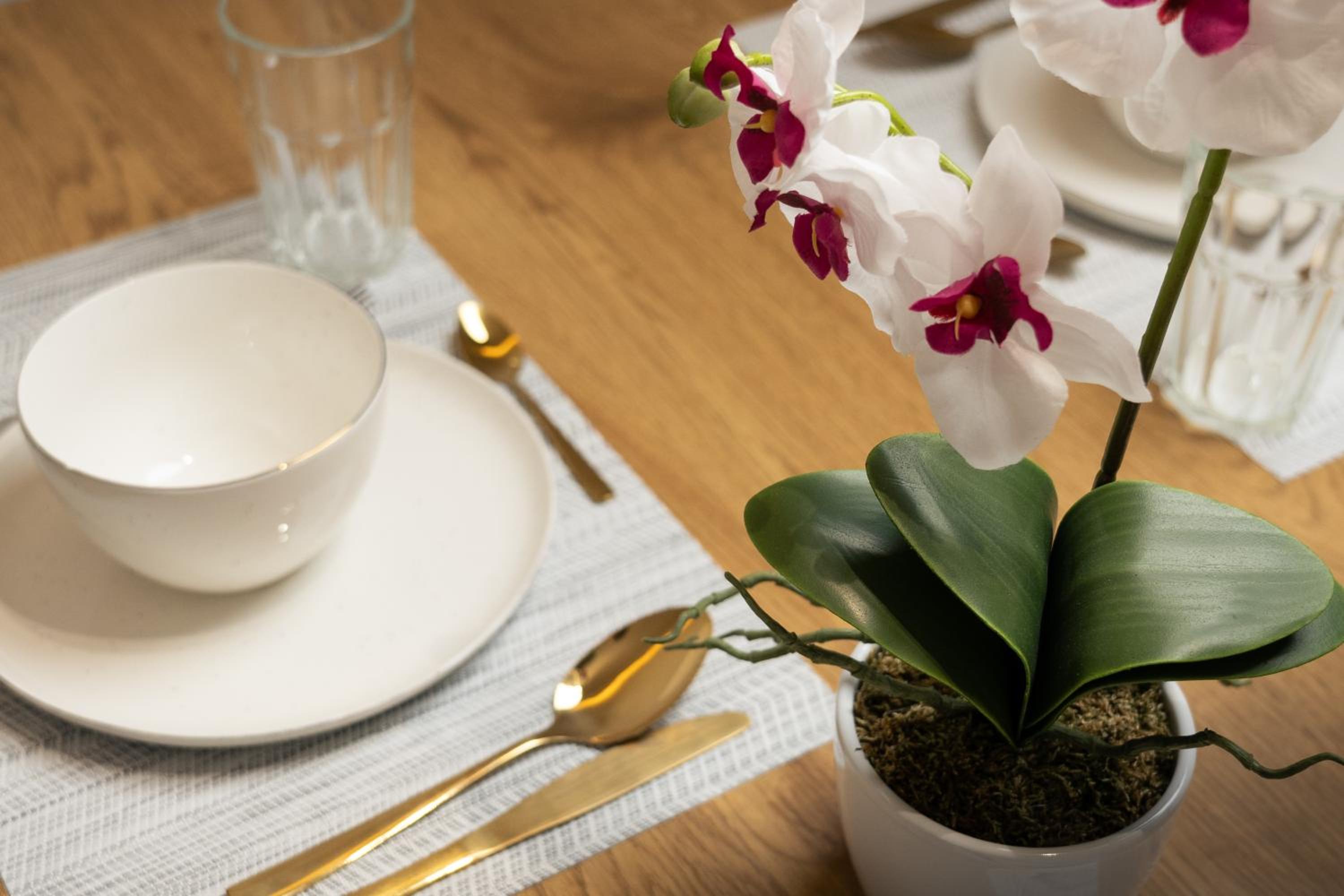 Premium Apartment by the Danube with AC