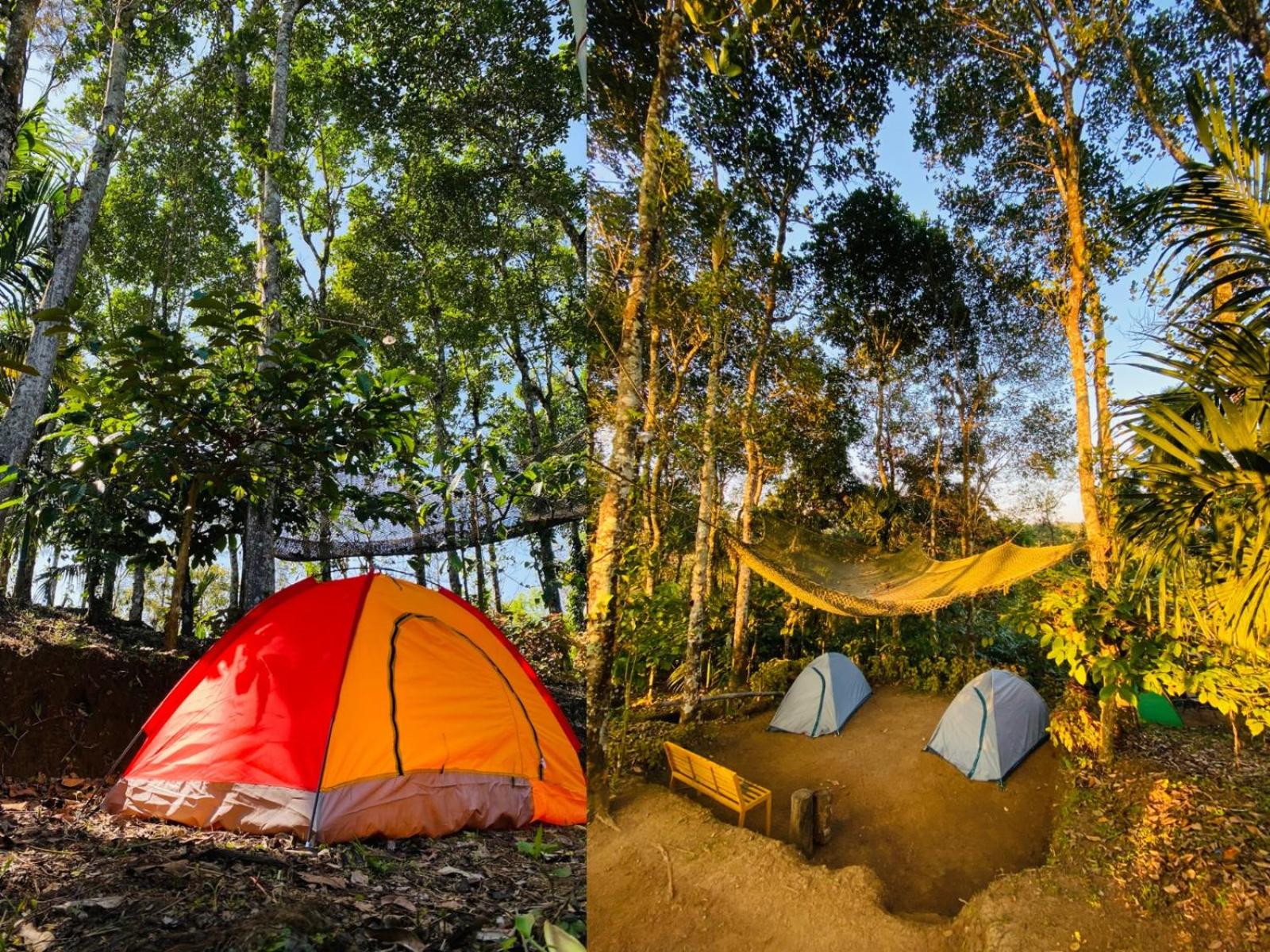HAPPY FEET CAMPING view 2