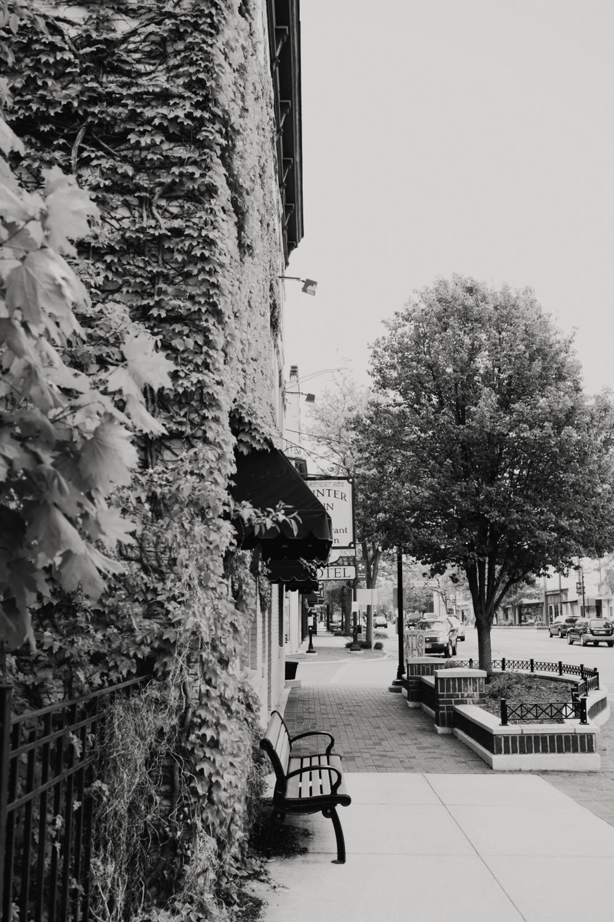 The Winter Inn