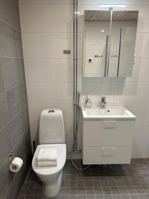 New stunning apartment in the city center