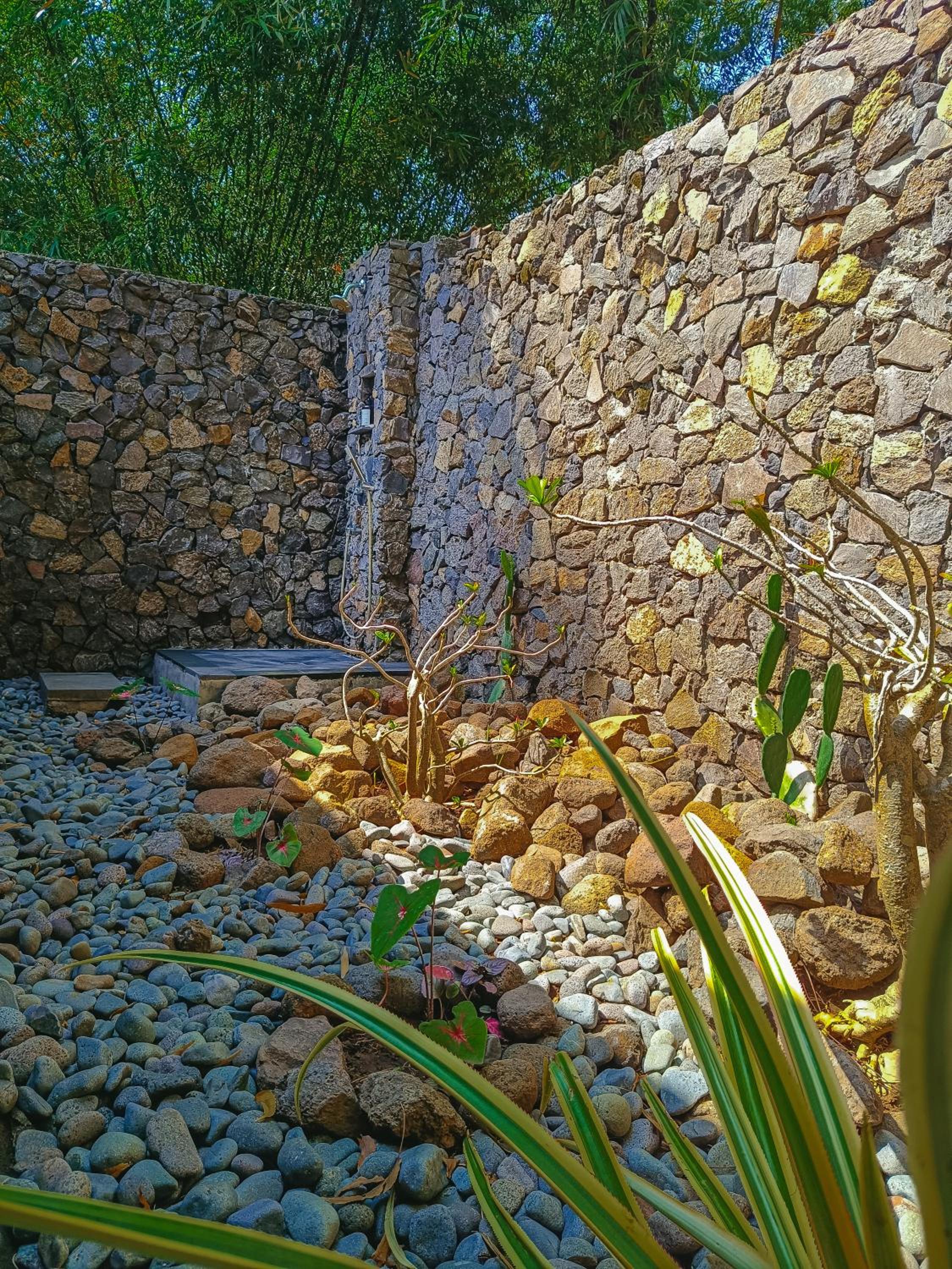 Alaya Ecolodge
