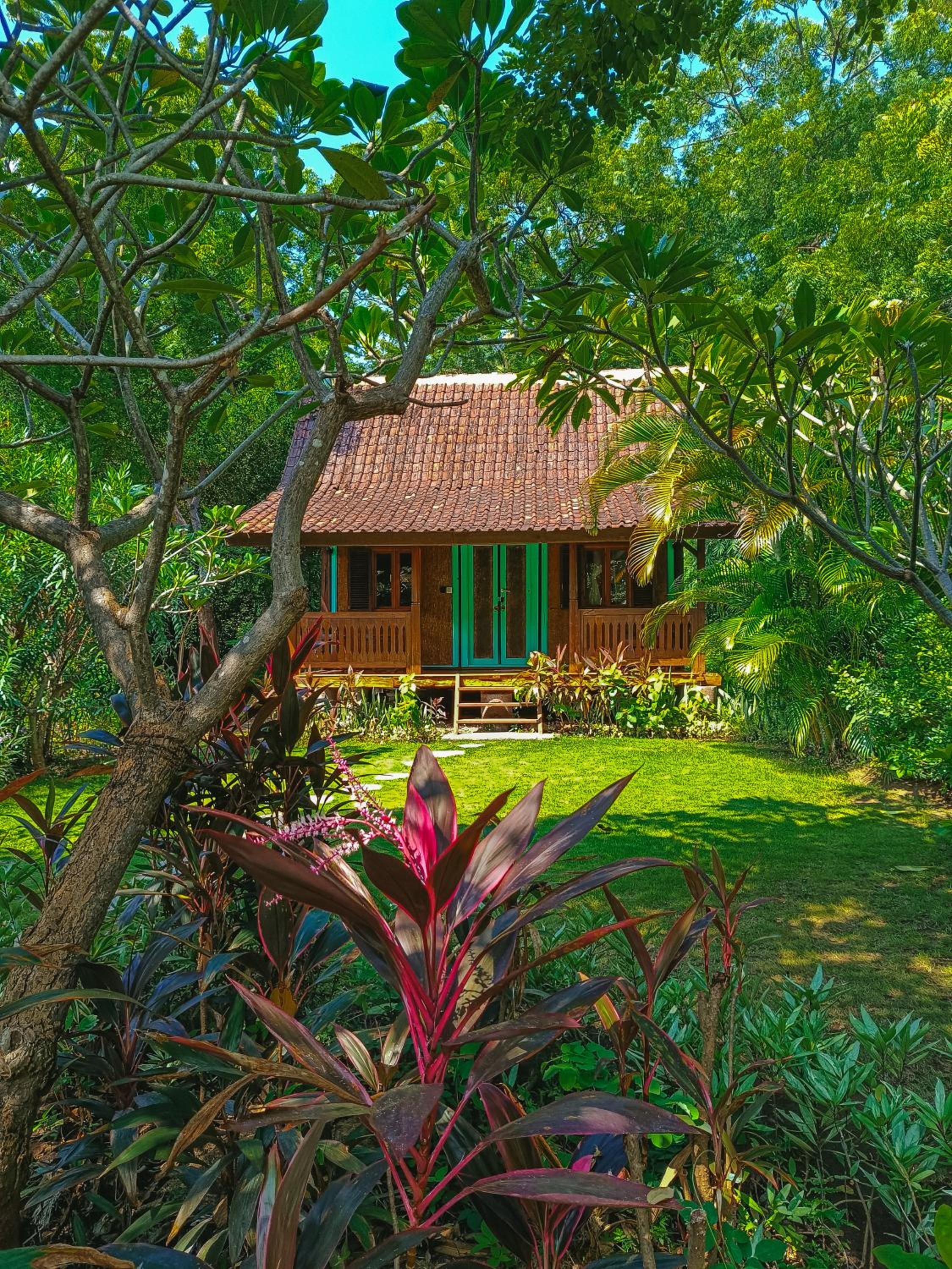 Alaya Ecolodge