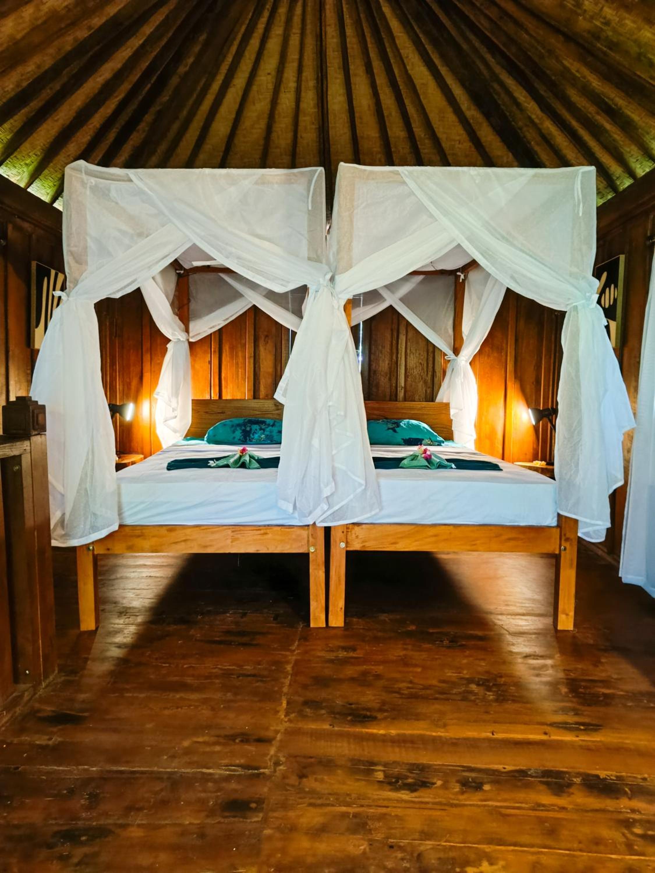 Alaya Ecolodge
