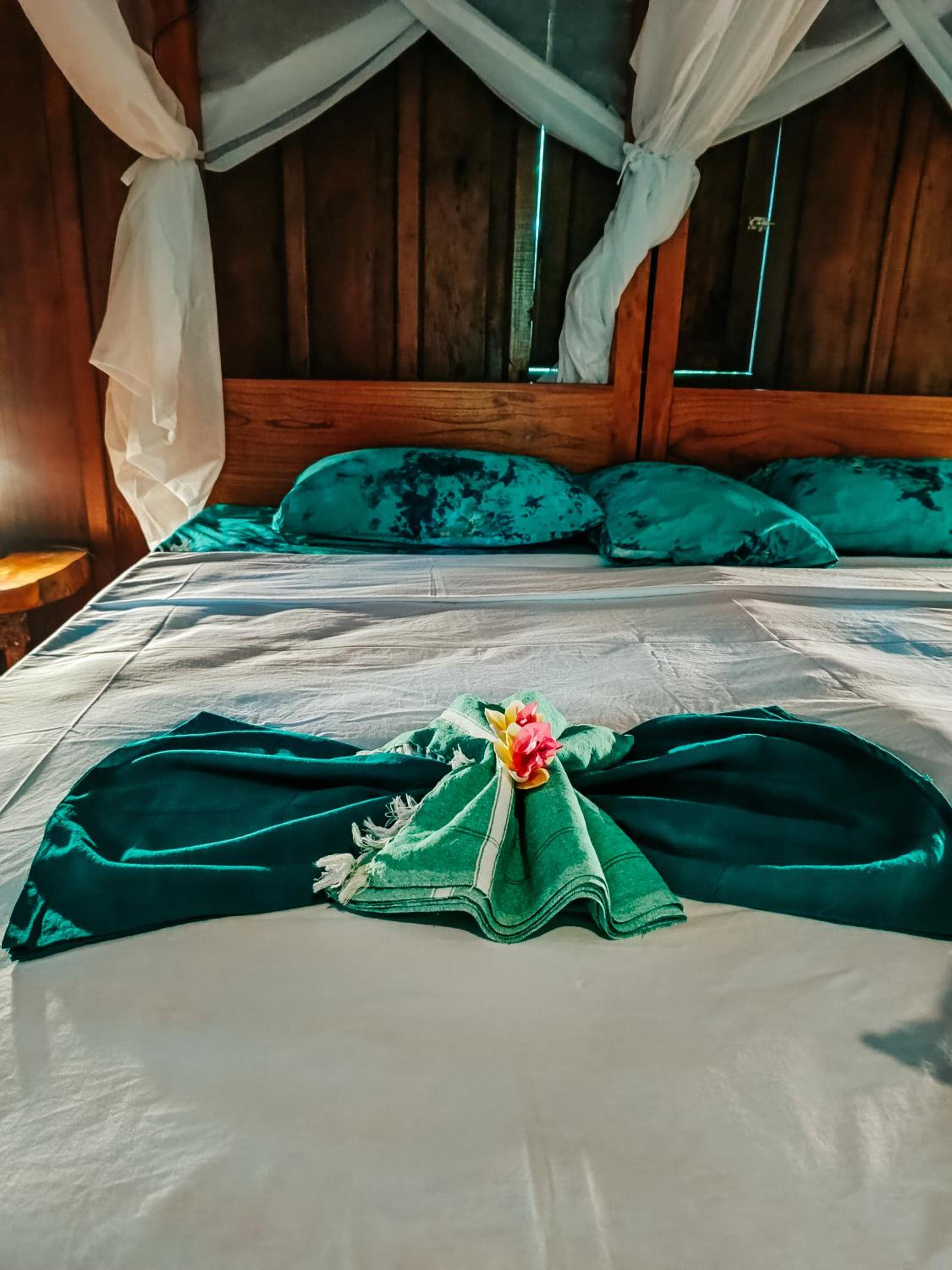 Alaya Ecolodge